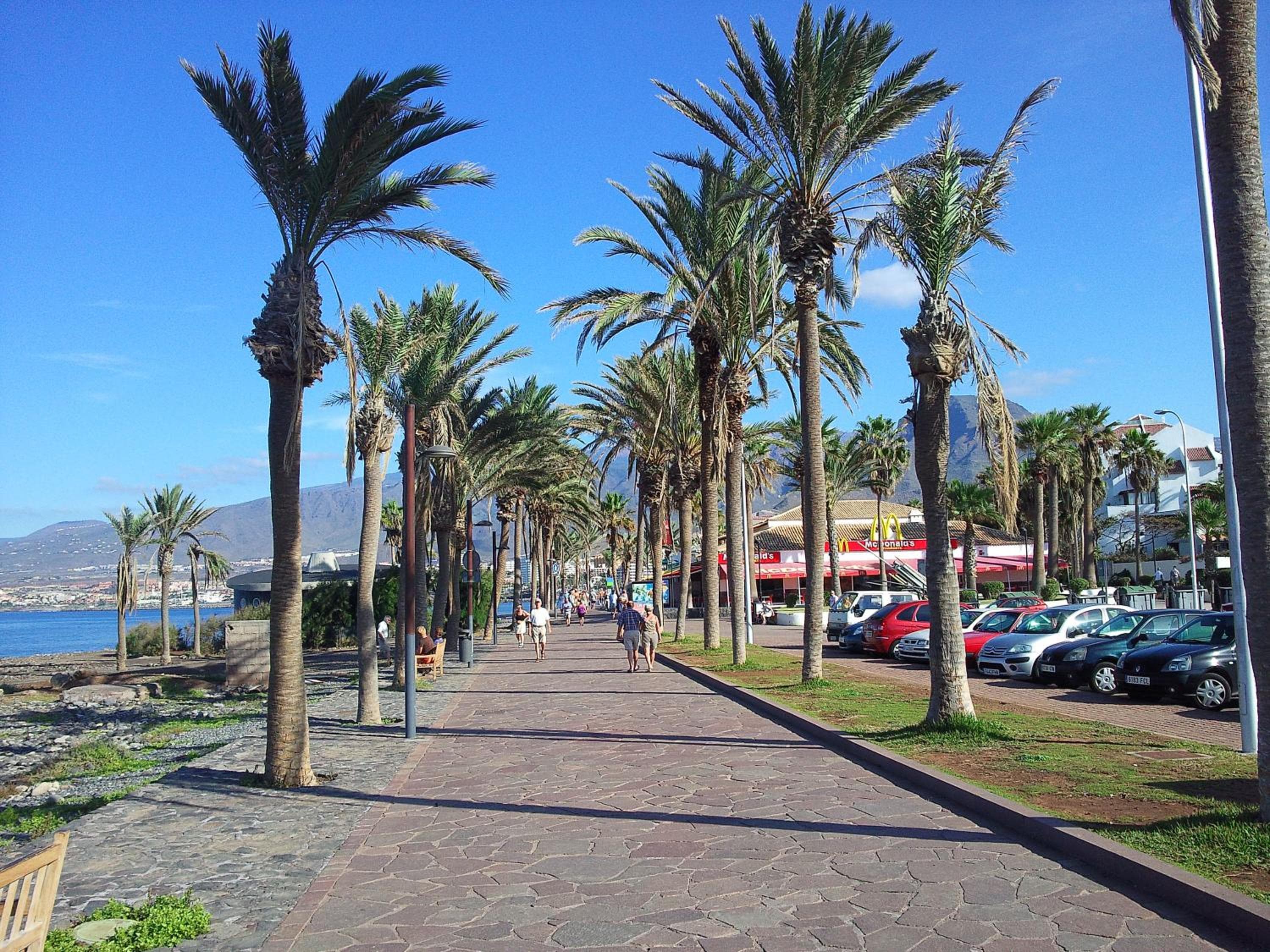 Apartment Playa Las Vistas 2 with breathtaking sea view, only 100 m to the sea, heated pool, aircondition for a fee, wifi — 5