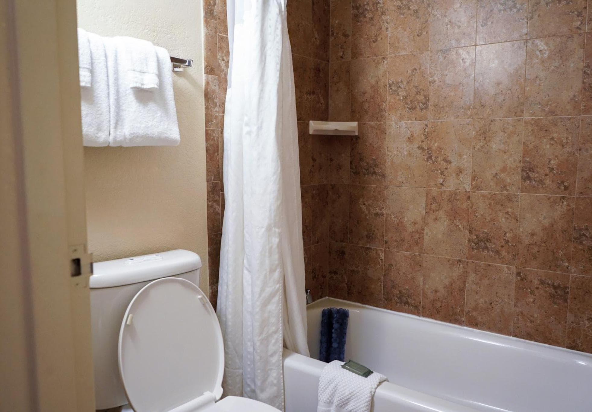 Rosen Inn International Near The Parks — 25