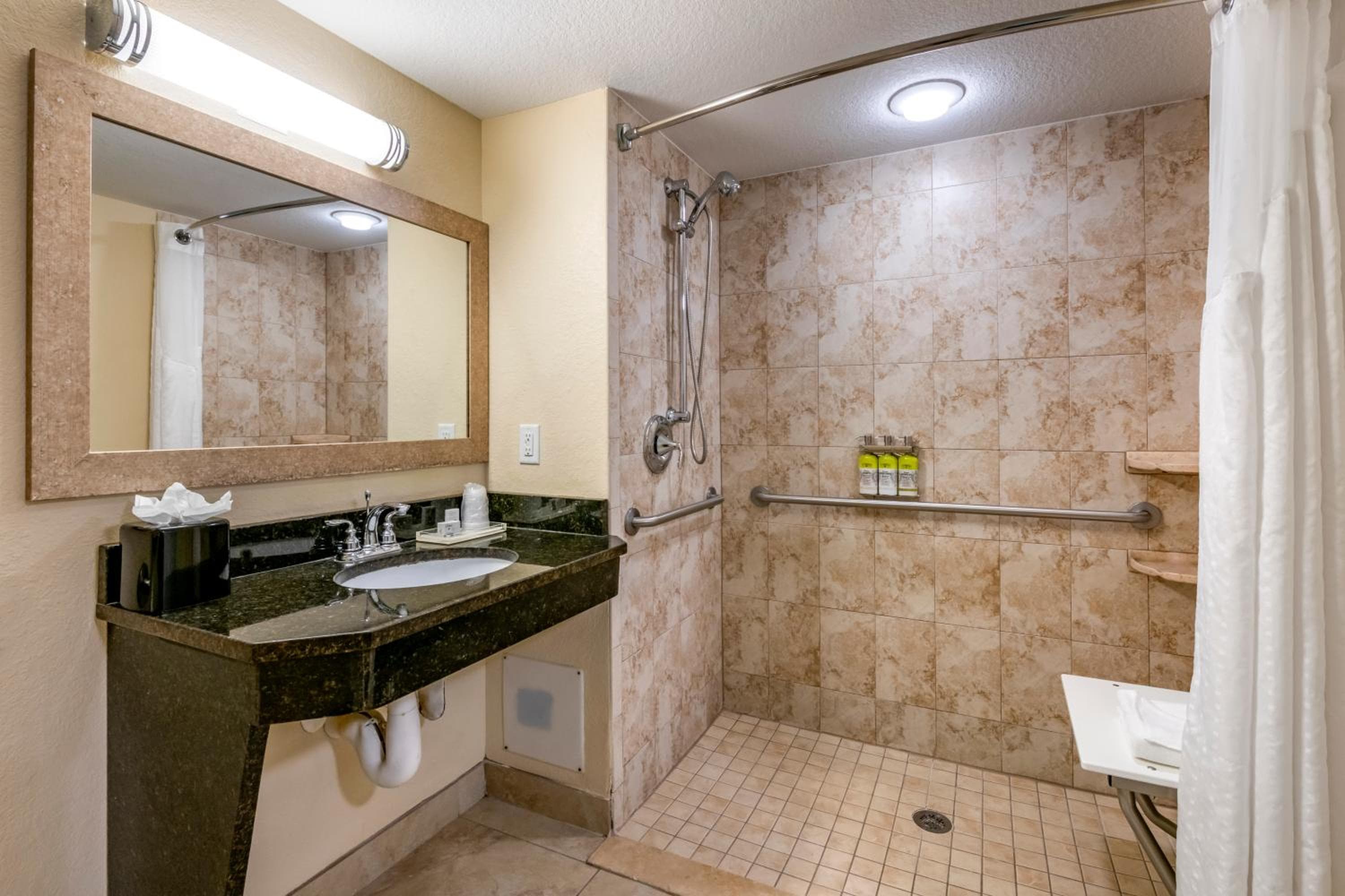 Holiday Inn Resort Orlando - Lake Buena Vista, un hotel IHG — 11