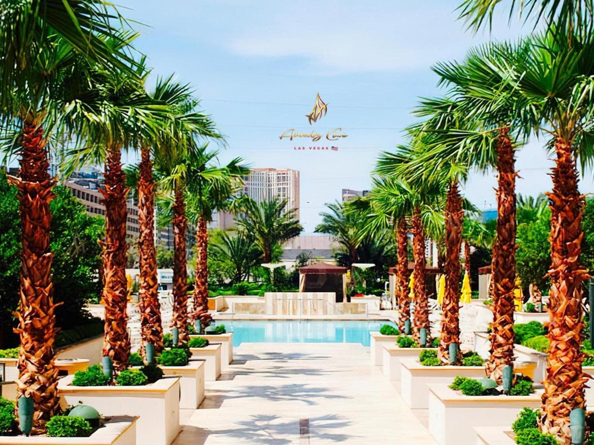 Collezione Amalz Suites presso MGM Signature! — 19