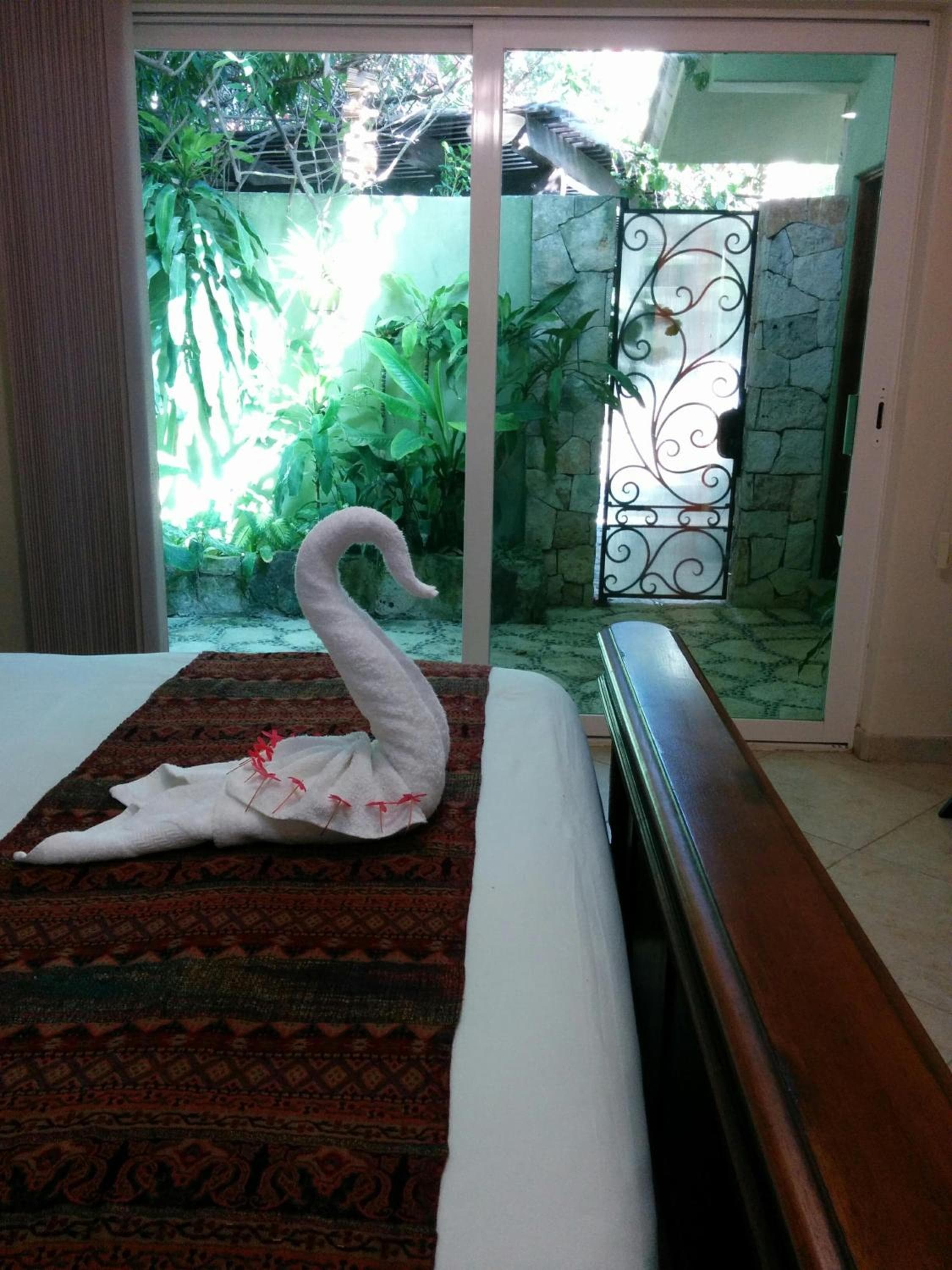 Casa Beard, espaciosa casa de huéspedes con WiFi de alta velocidad y piscina. — 12