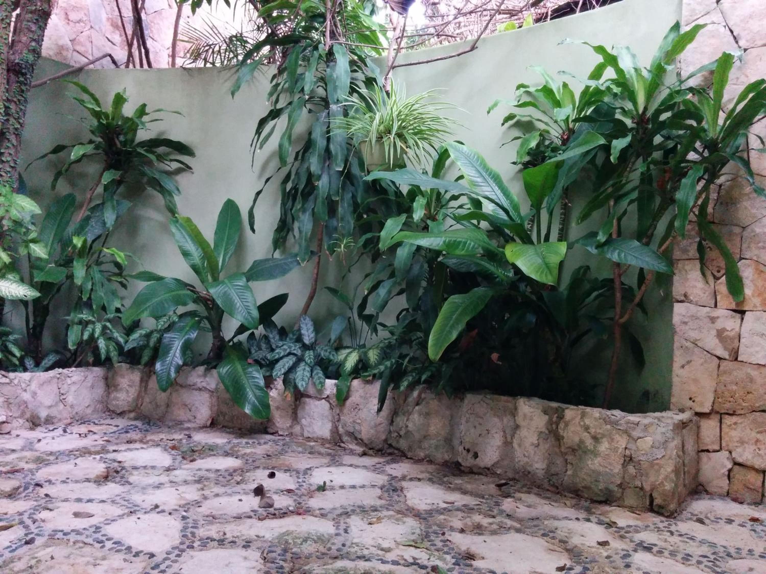Casa Beard, espaciosa casa de huéspedes con WiFi de alta velocidad y piscina. — 18