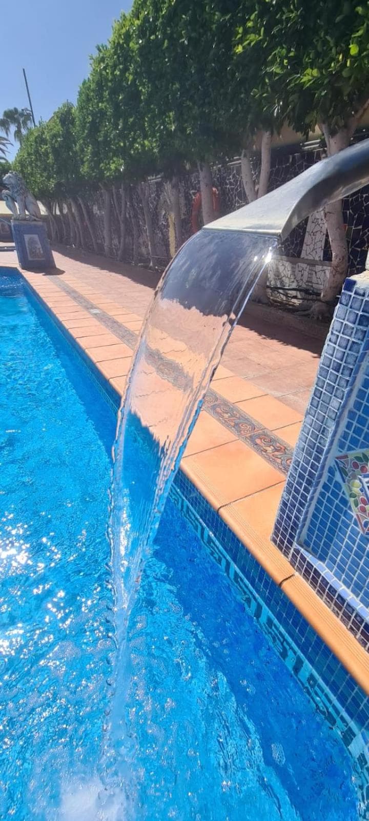 Apto Sol y Mar — 5