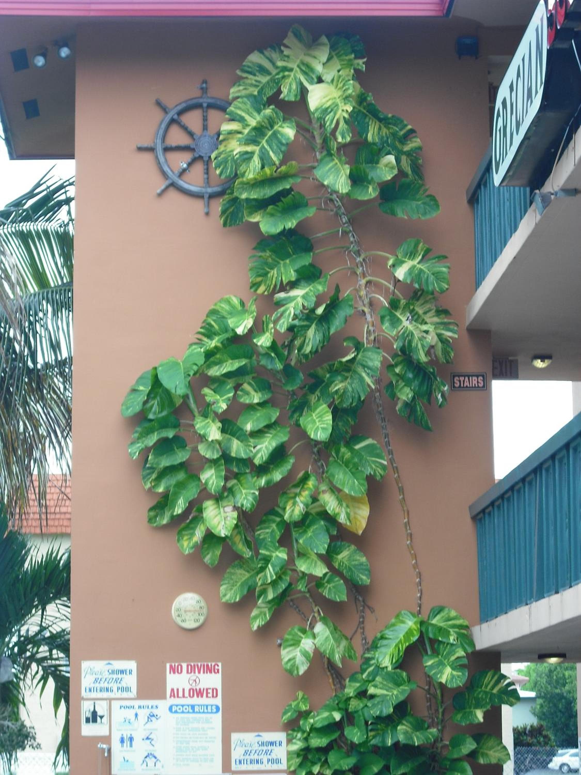 Ft. Lauderdale Beach Resort Hotel — 26