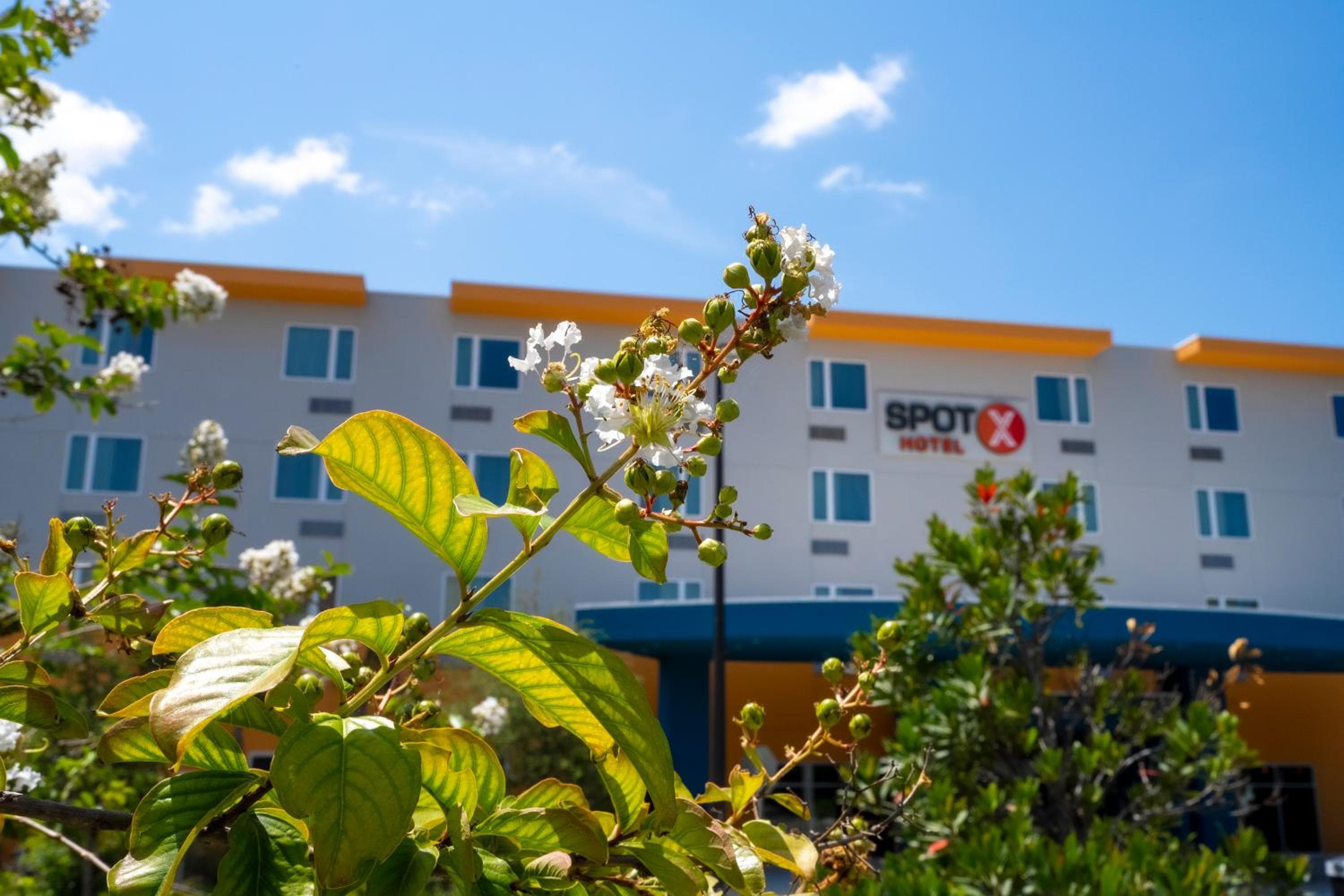 SPOT X Hotel Orlando Intl Dr by The Red Collection — 22