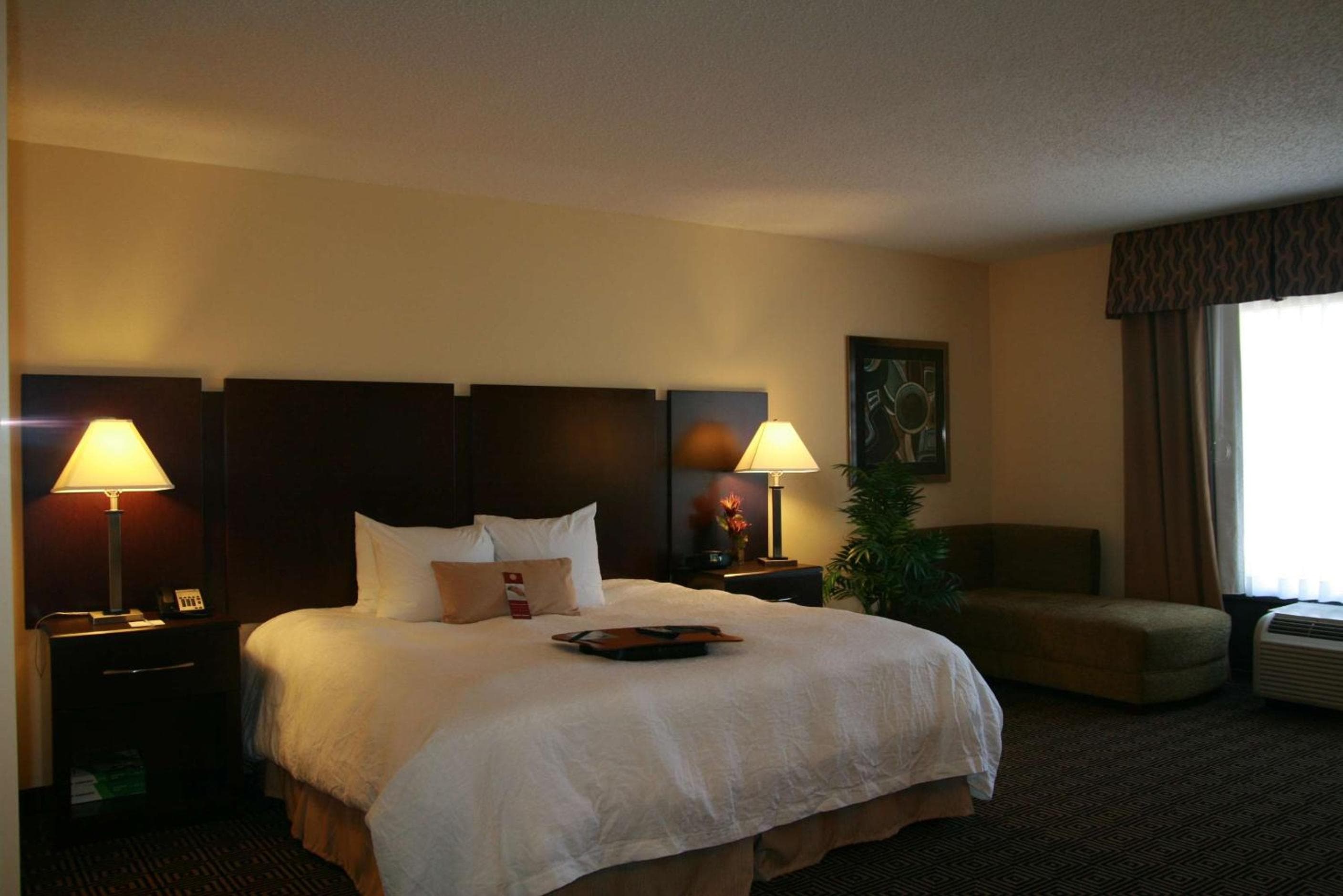 Hampton Inn & Suites Orlando-John Young Parkway/South Park — 20