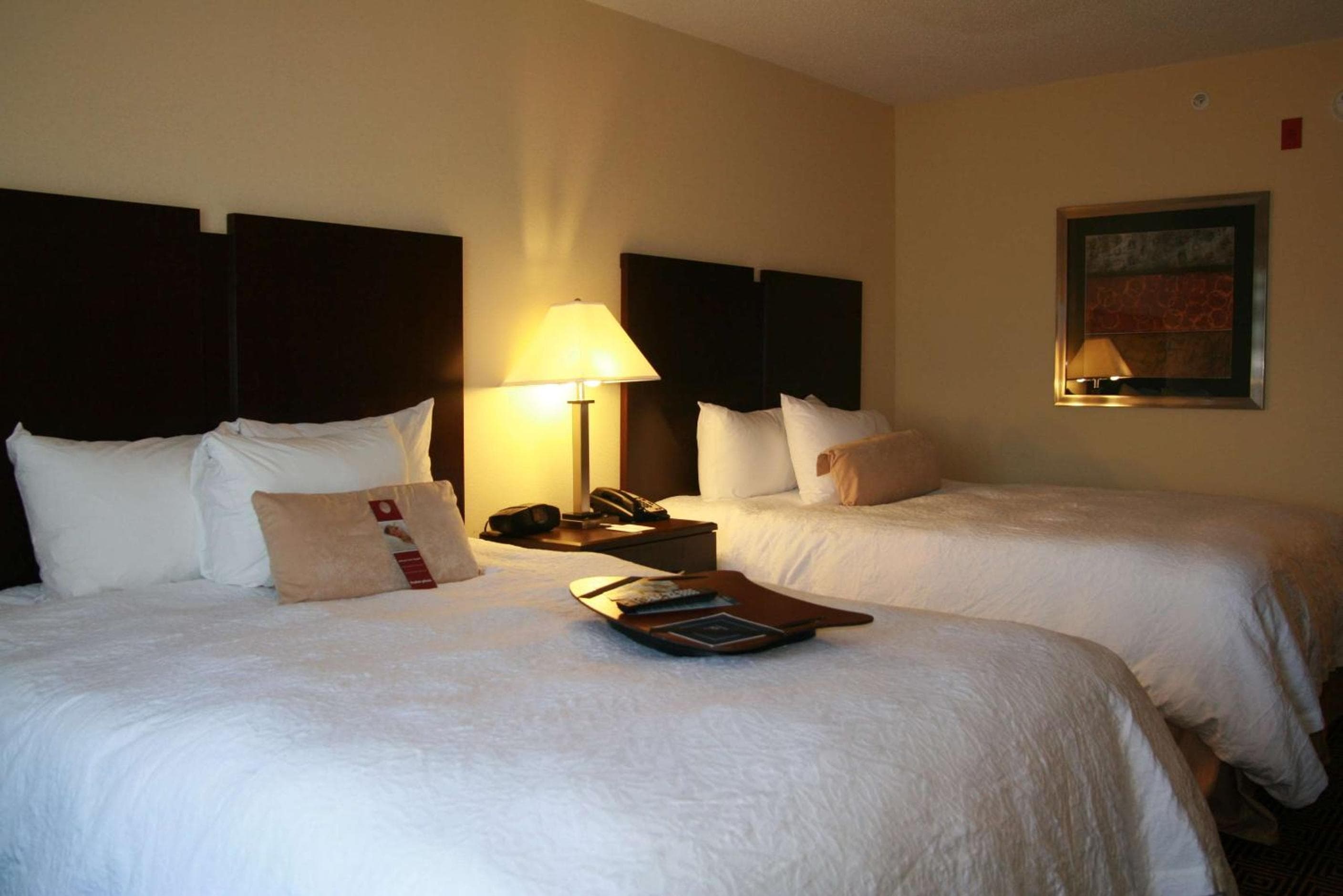 Hampton Inn & Suites Orlando-John Young Parkway/South Park — 22