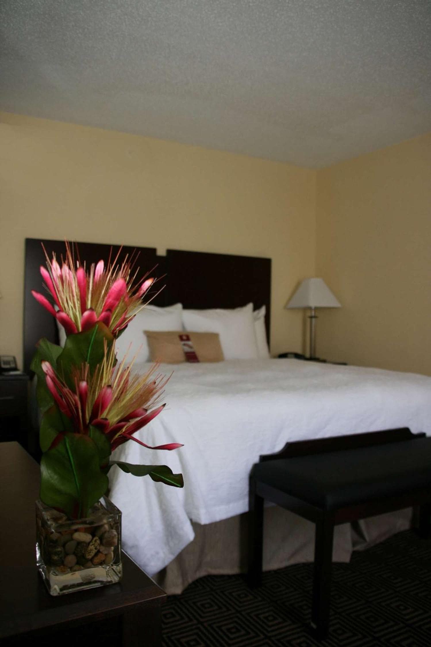 Hampton Inn & Suites Orlando-John Young Parkway/South Park — 25