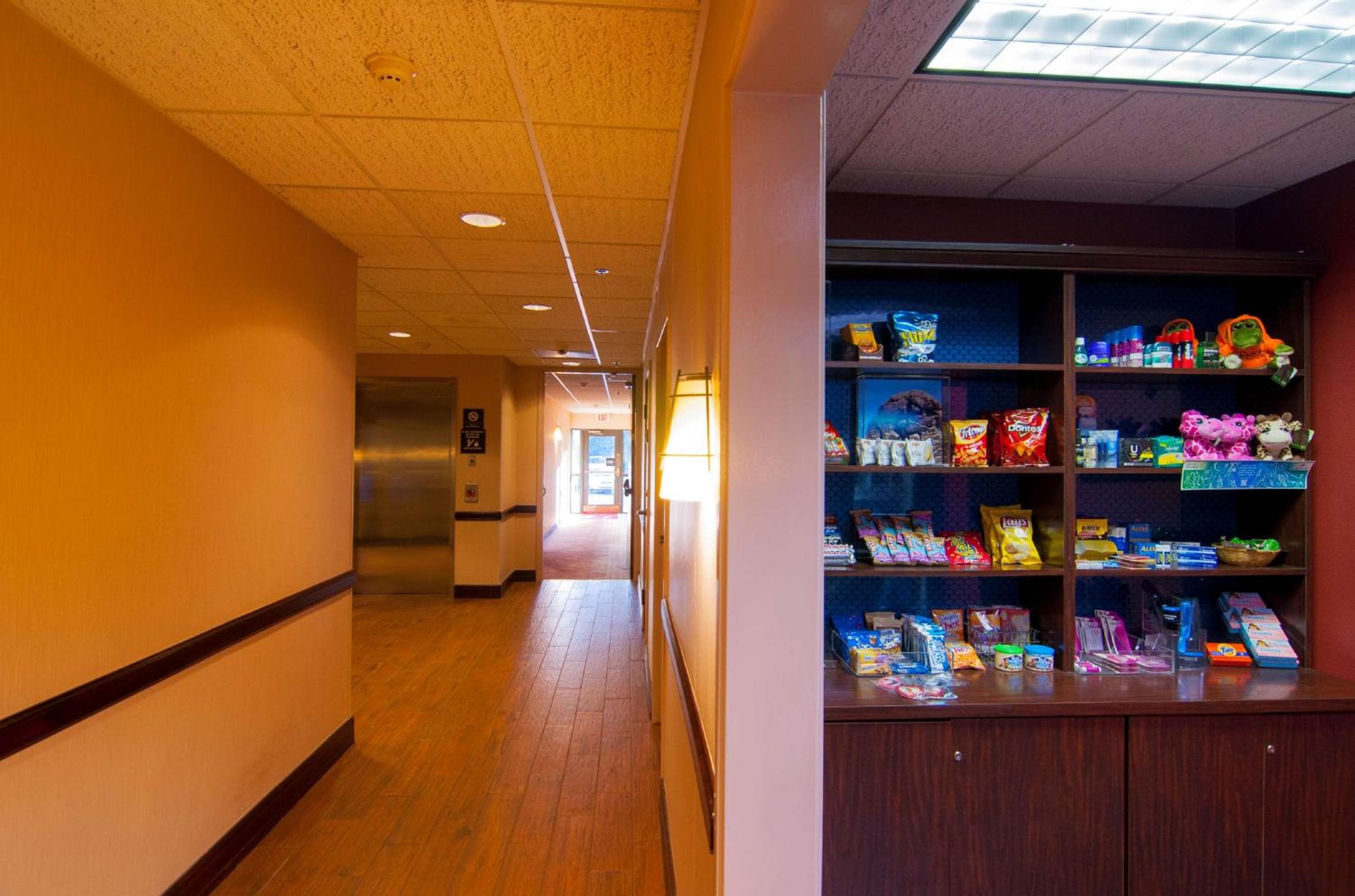 Hampton Inn & Suites Tampa-Nord — 16