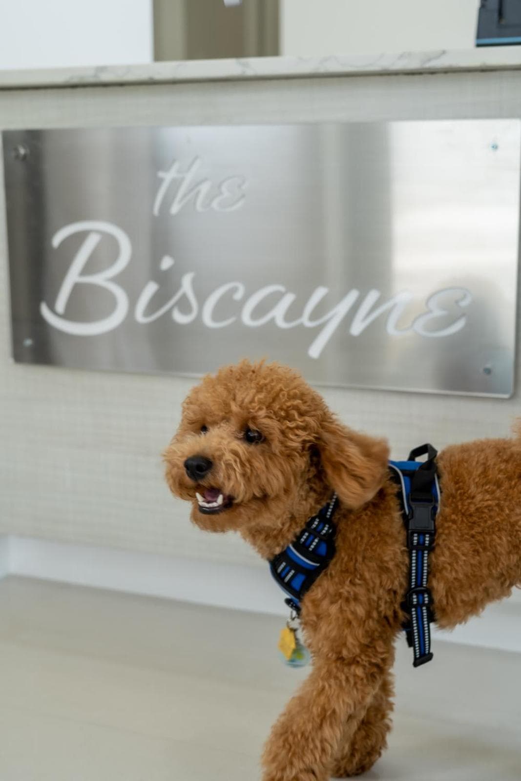 The Biscayne Hotel — 2