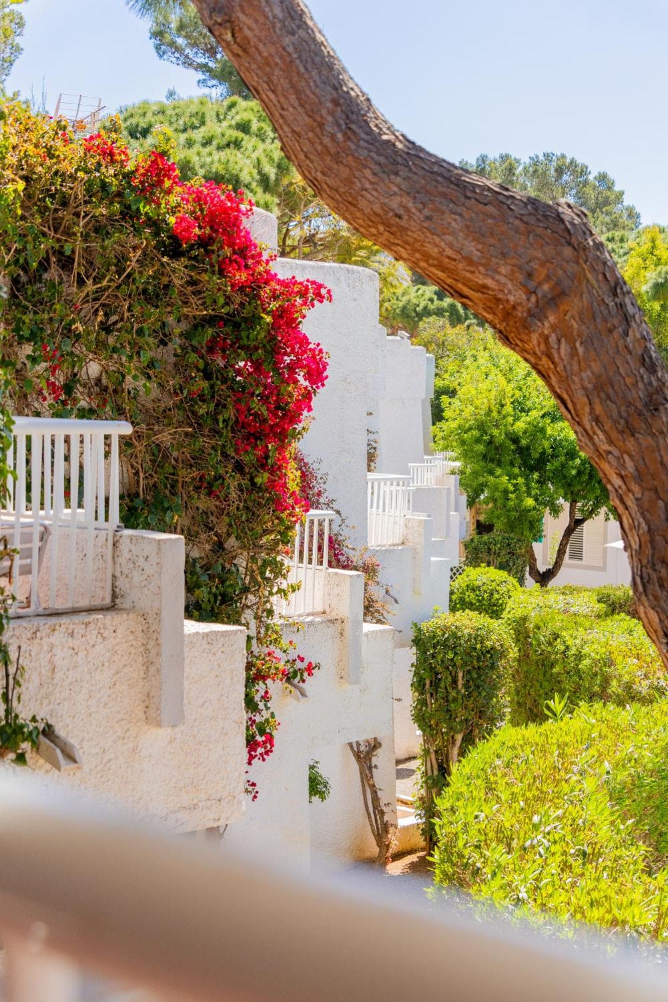 Apartamentos Atlas Ibiza — 17