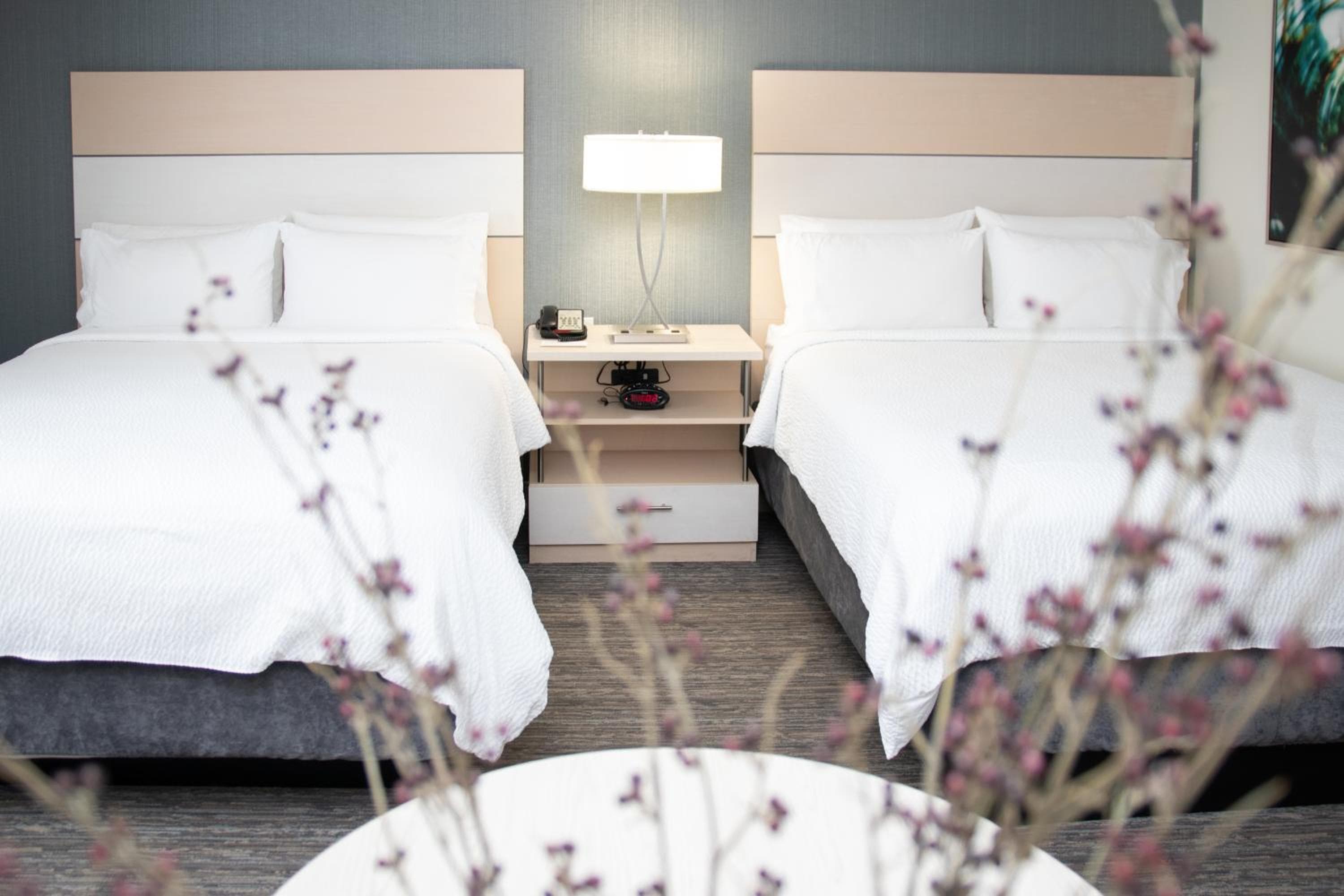 Candlewood Suites Miami Intl Airport - 36th St, un hotel IHG — 30