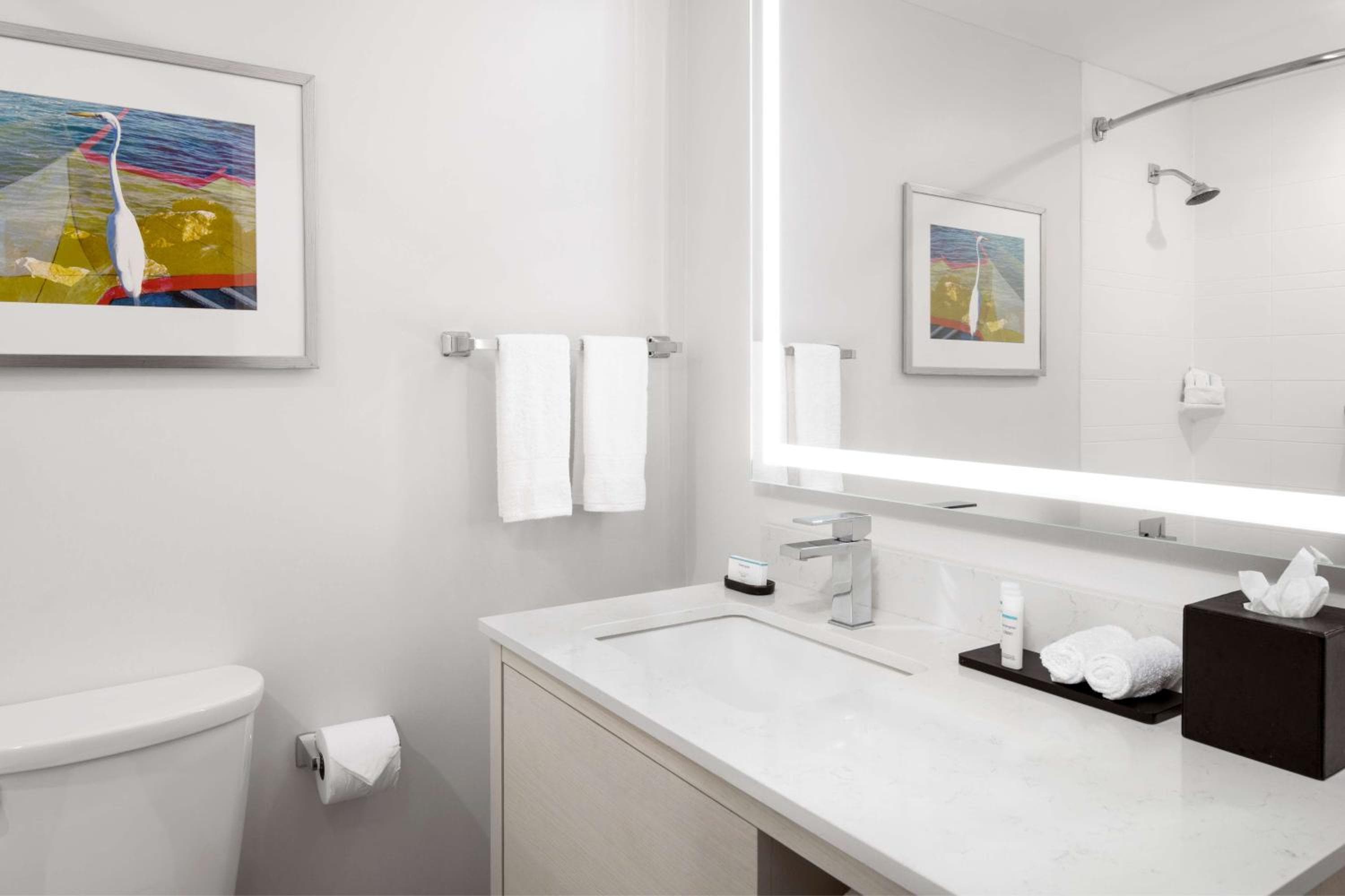 Embassy Suites by Hilton Tampa Airport Westshore — 13