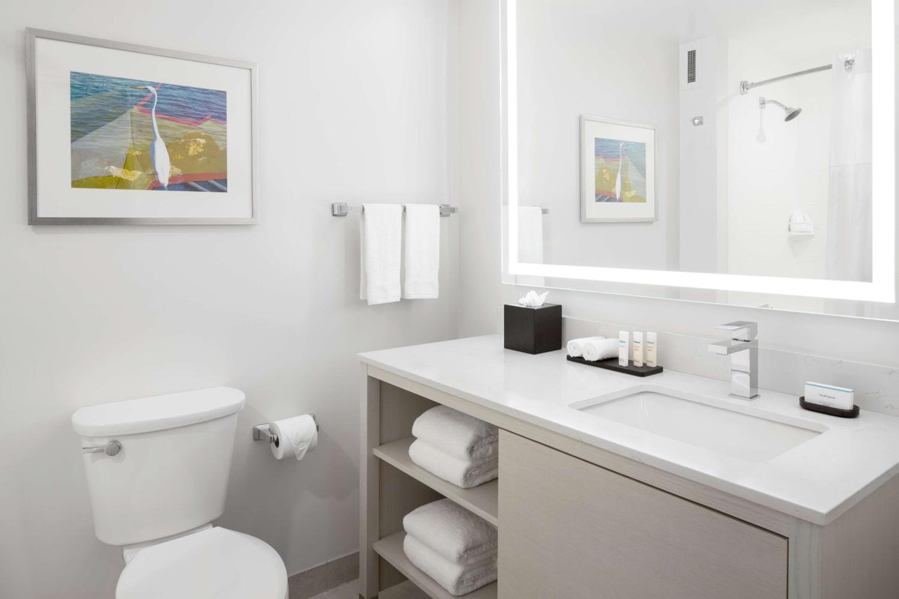 Embassy Suites by Hilton Tampa Airport Westshore — 4