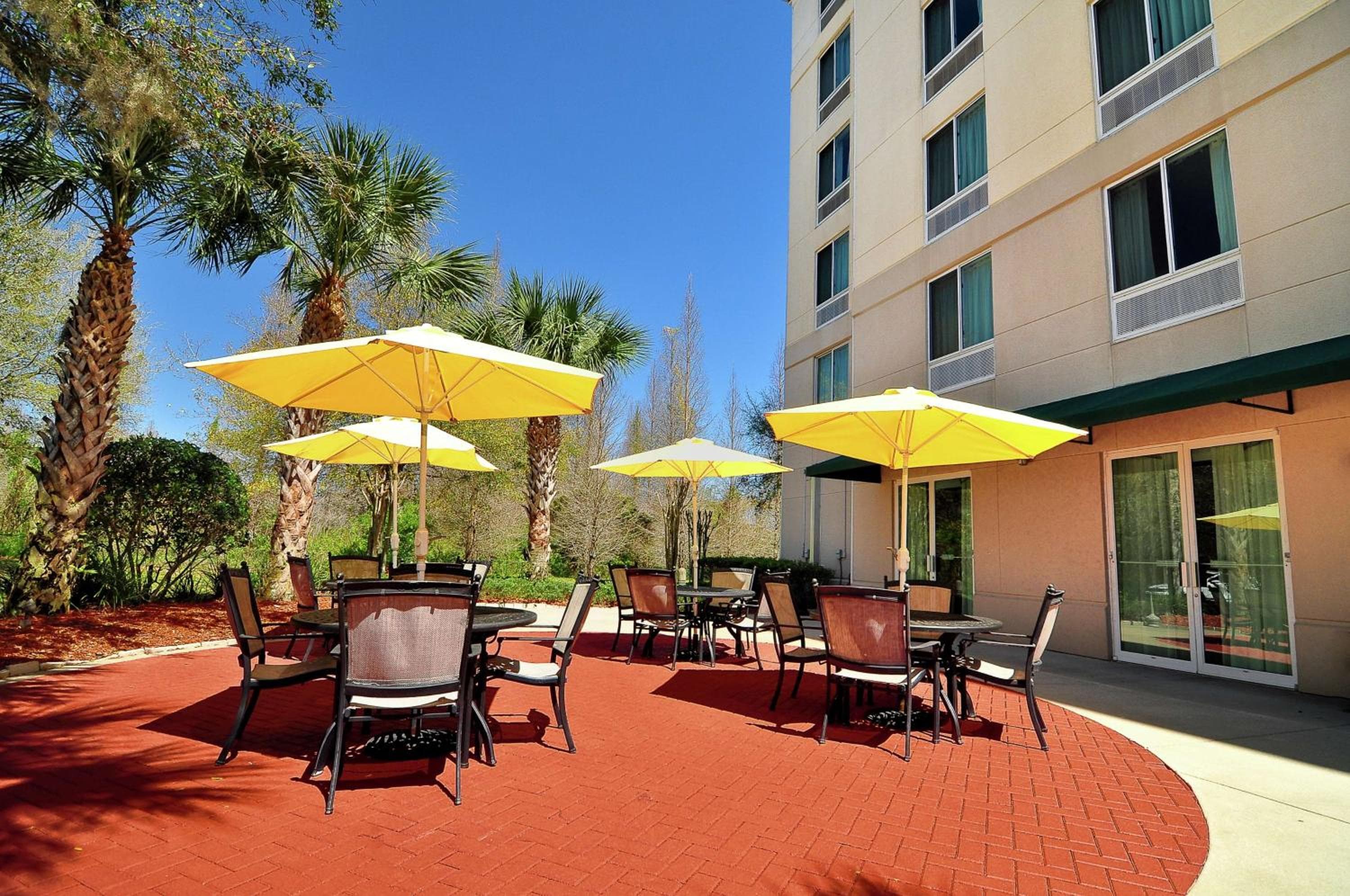 Hilton Garden Inn Tampa North — 8