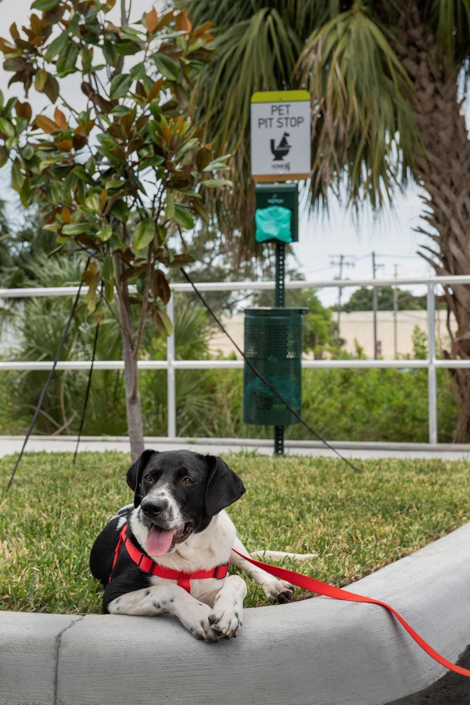 Home2 Suites By Hilton Tampa Westshore Airport, Florida — 8