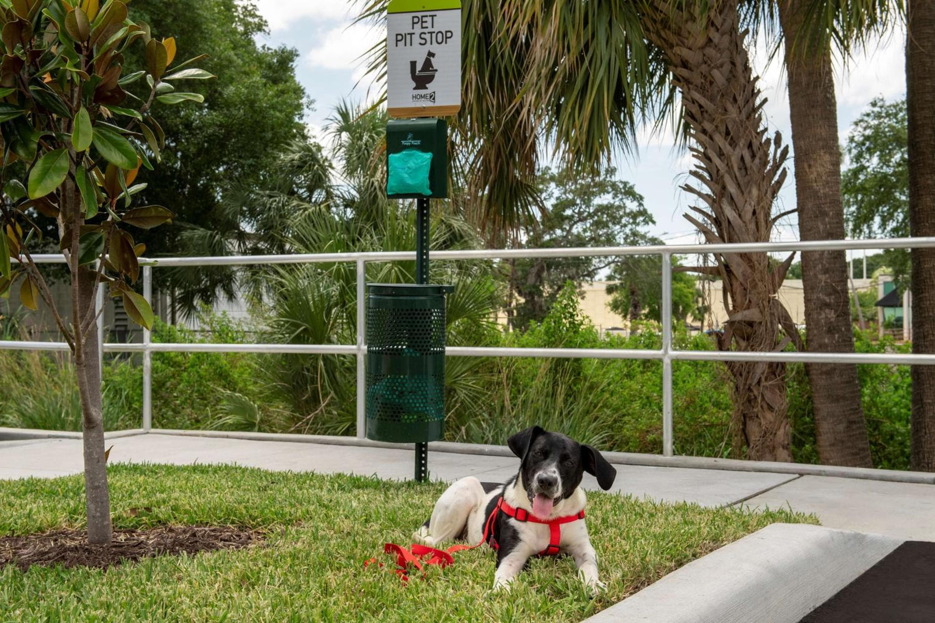 Home2 Suites By Hilton Tampa Westshore Airport, Florida — 9