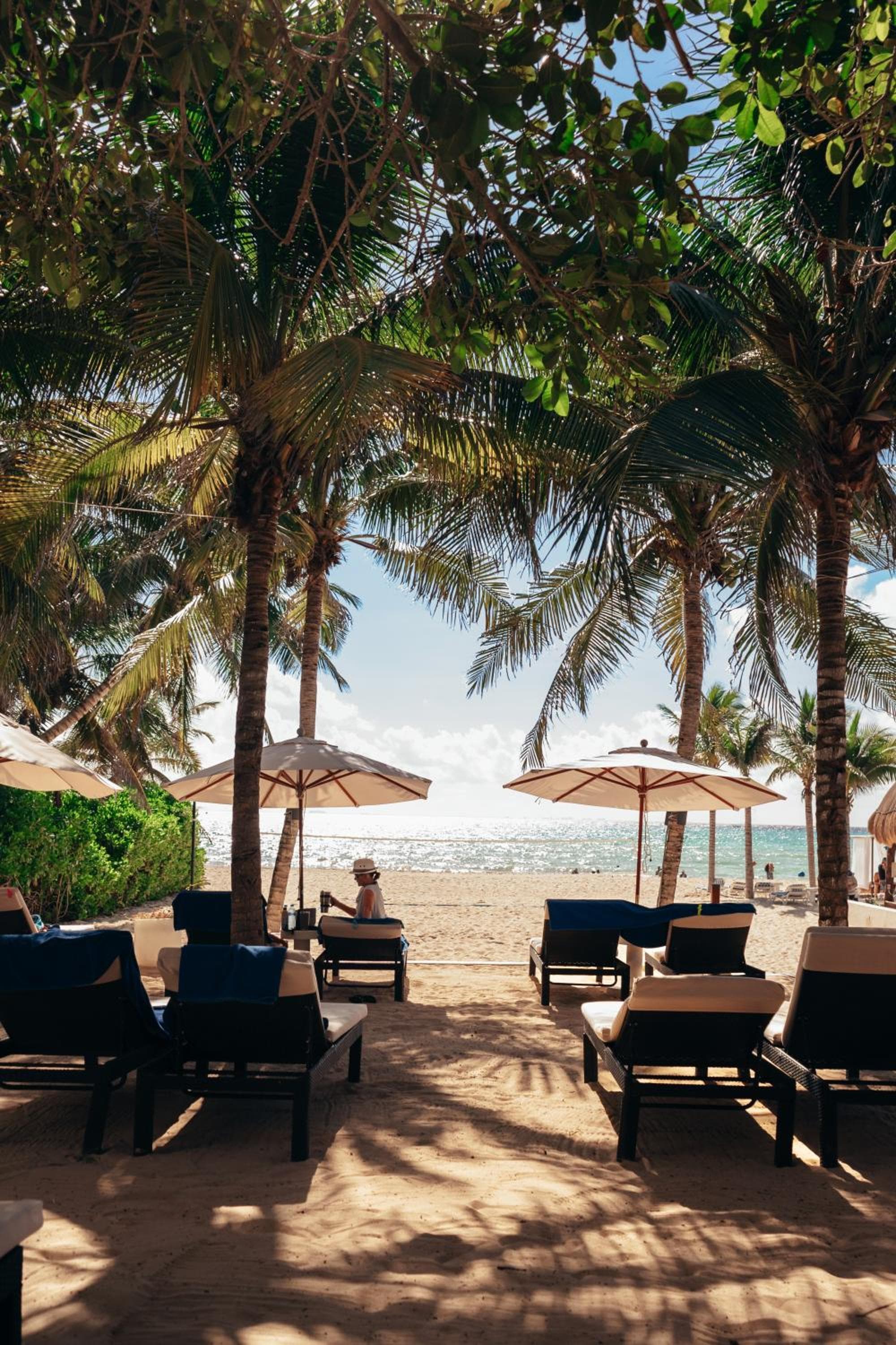 The Reef Playacar Resort & Spa-Opcional Todo Incluido — 6