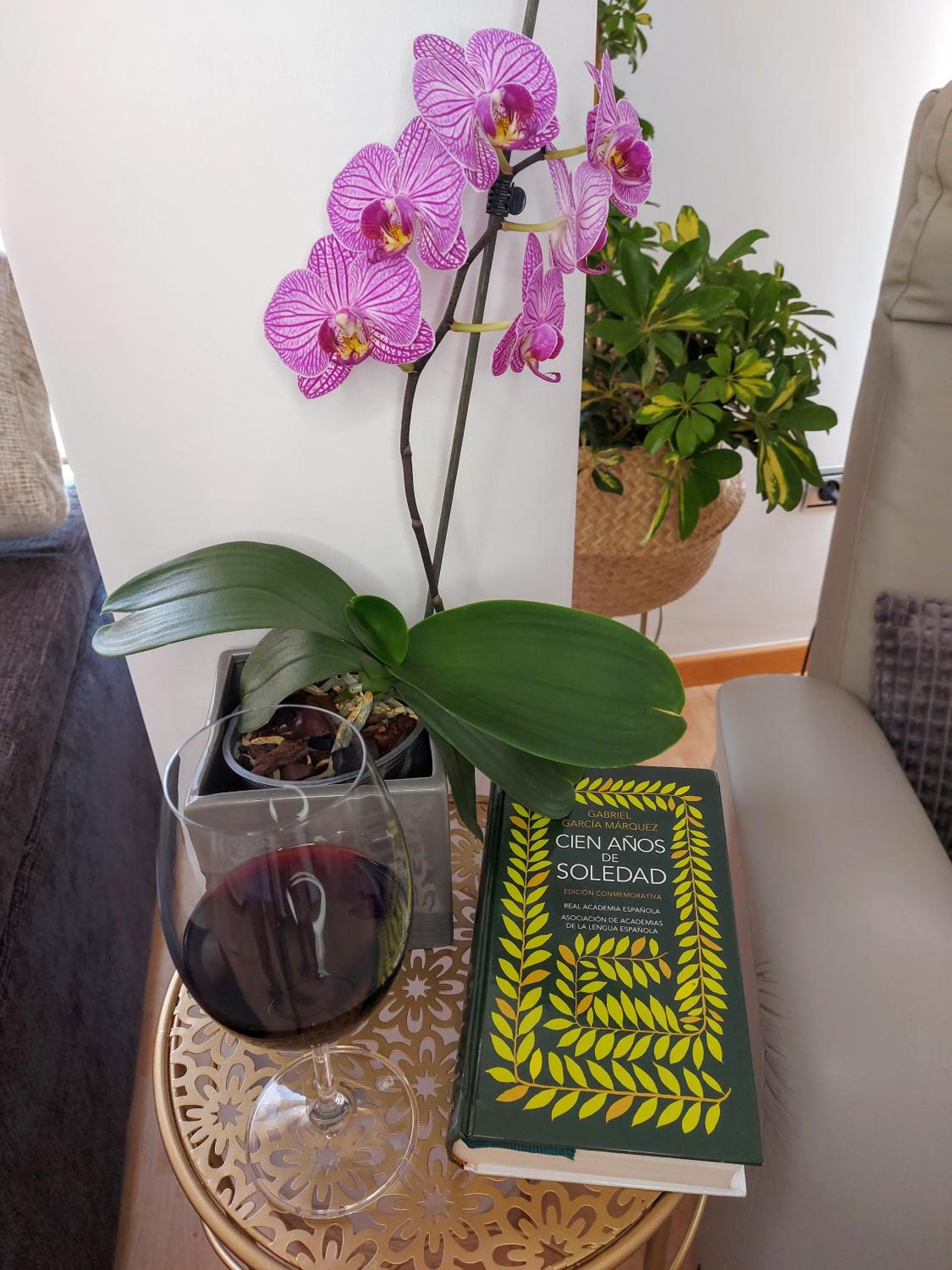 Appartamento La Floritas — 22