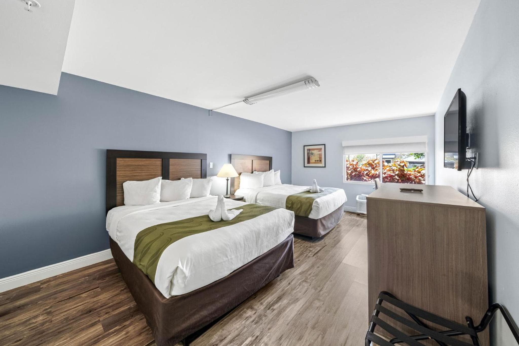 Quality Inn & Suites Tampa near Fairgrounds and Casino — 11