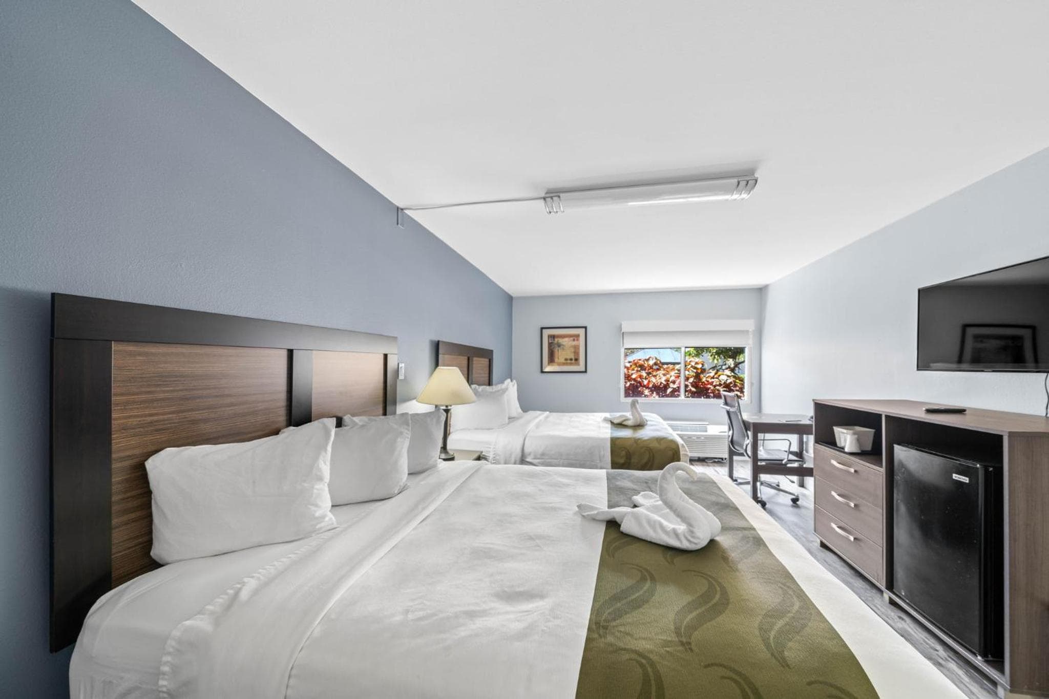 Quality Inn & Suites Tampa near Fairgrounds and Casino — 26