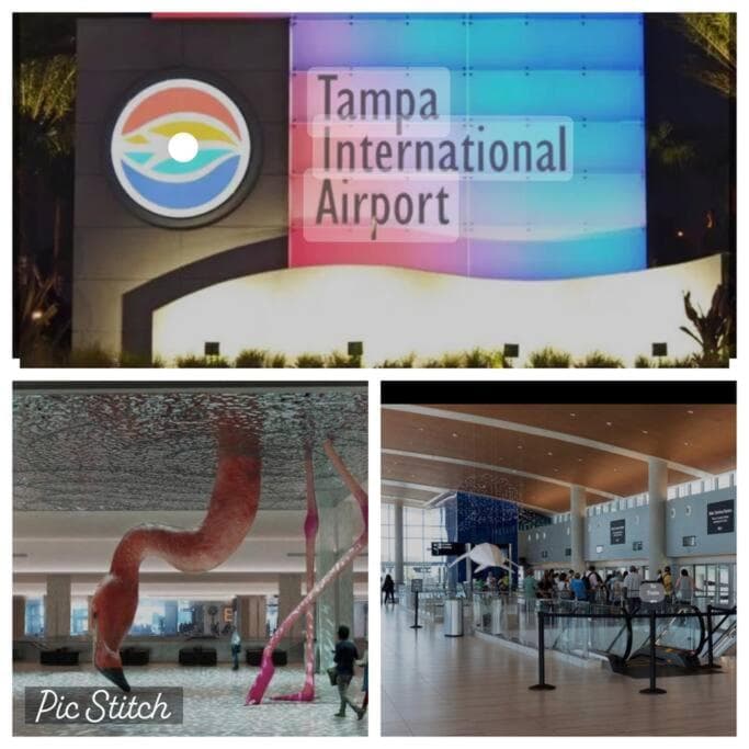 ¡Viaje floreciente en la Bahía de Tampa! — 14