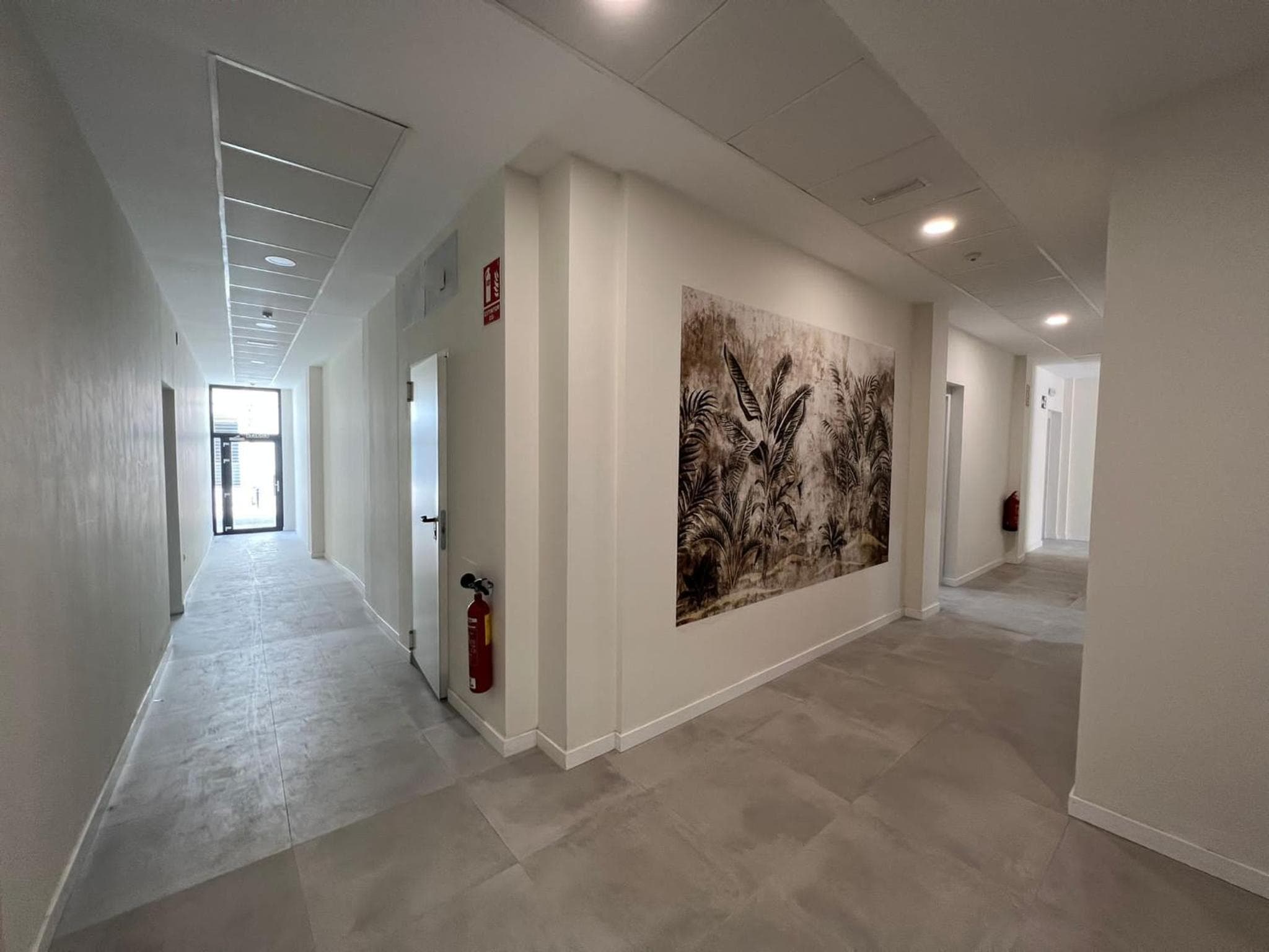 Estudio Trinidad Centro Málaga 2 — 7