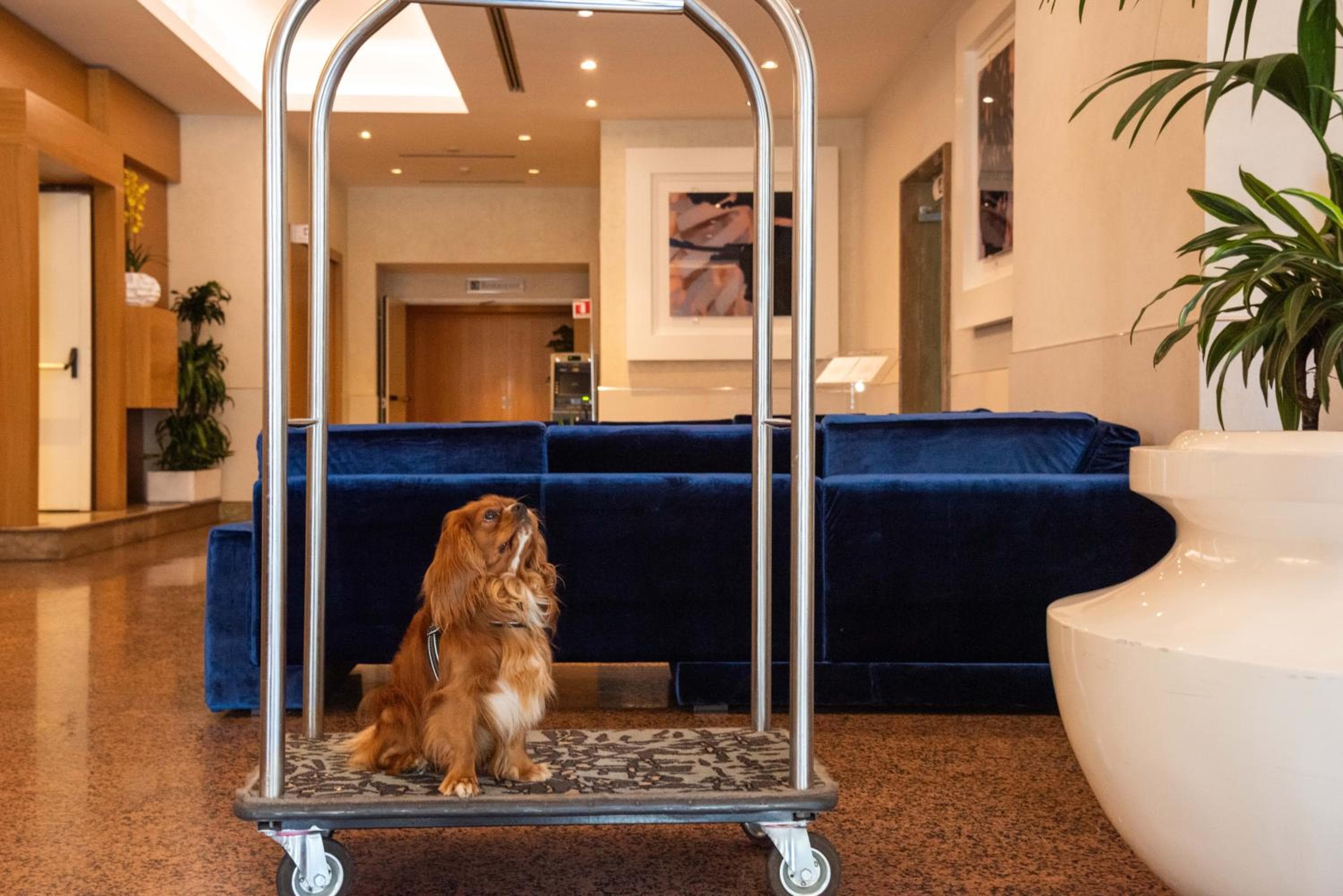 Hilton Garden Inn Rome Colosseum — 20