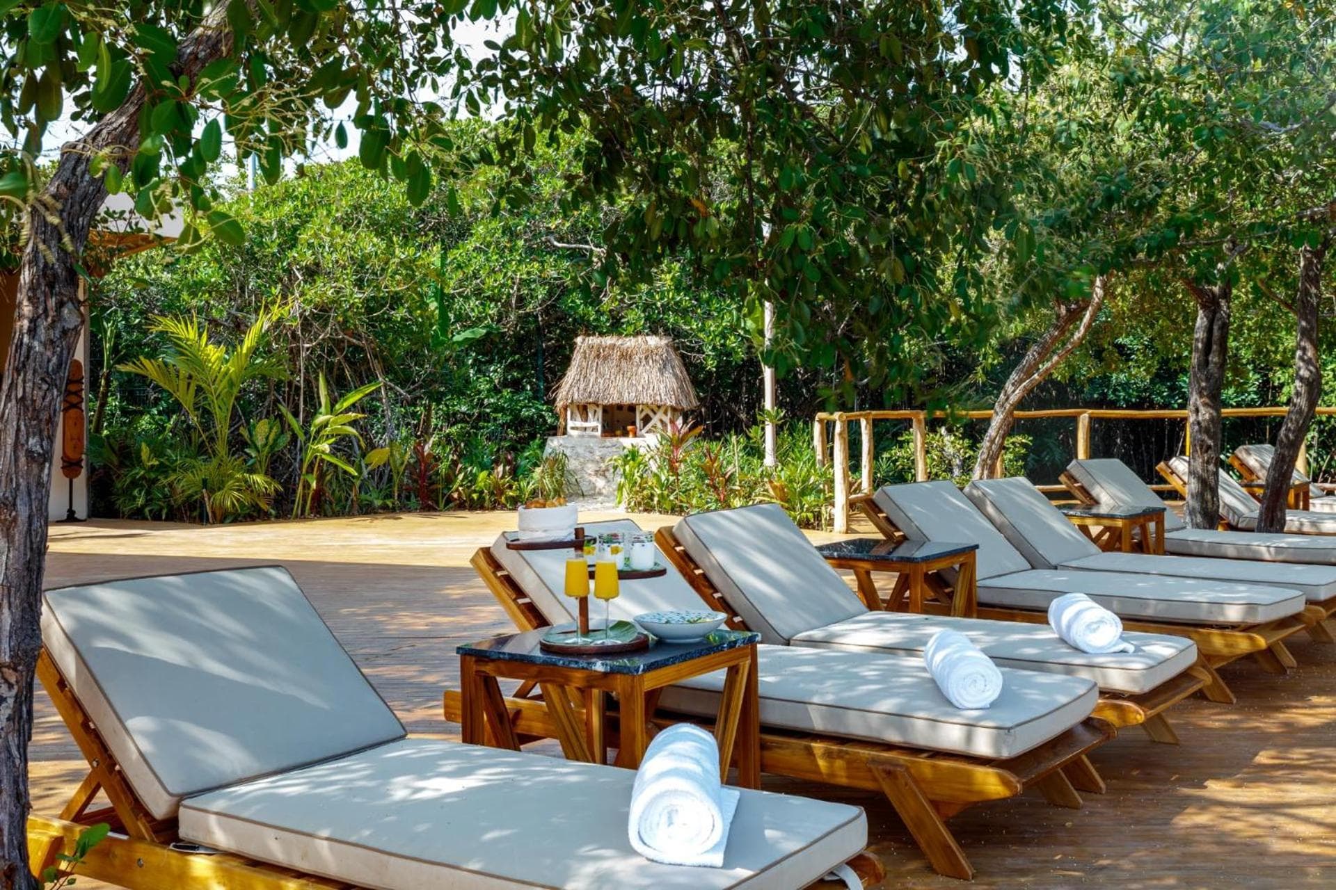 Hotel Shibari - Restaurant & Cenote Club — 17