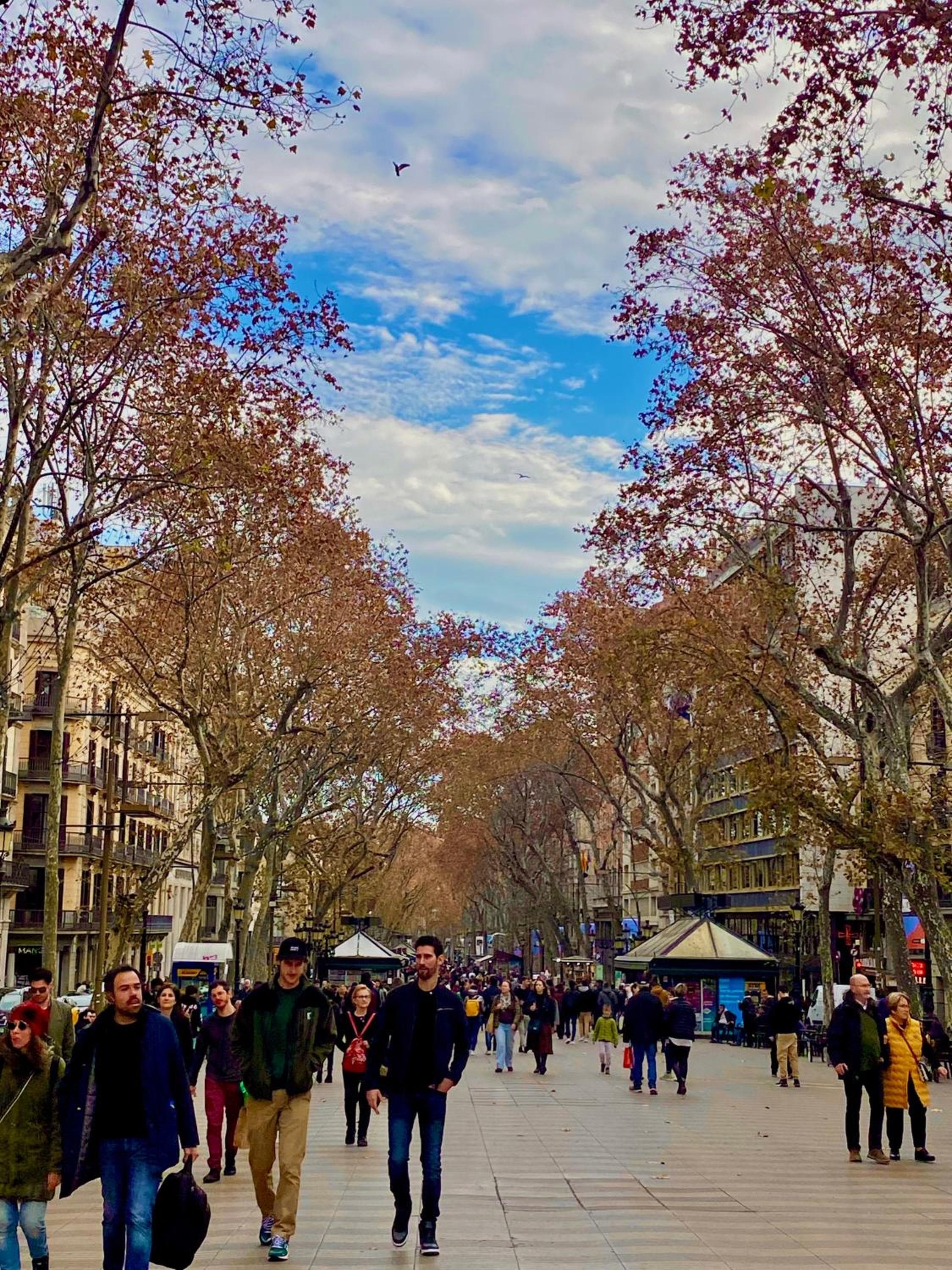 Hotel Continental Barcellona — 2