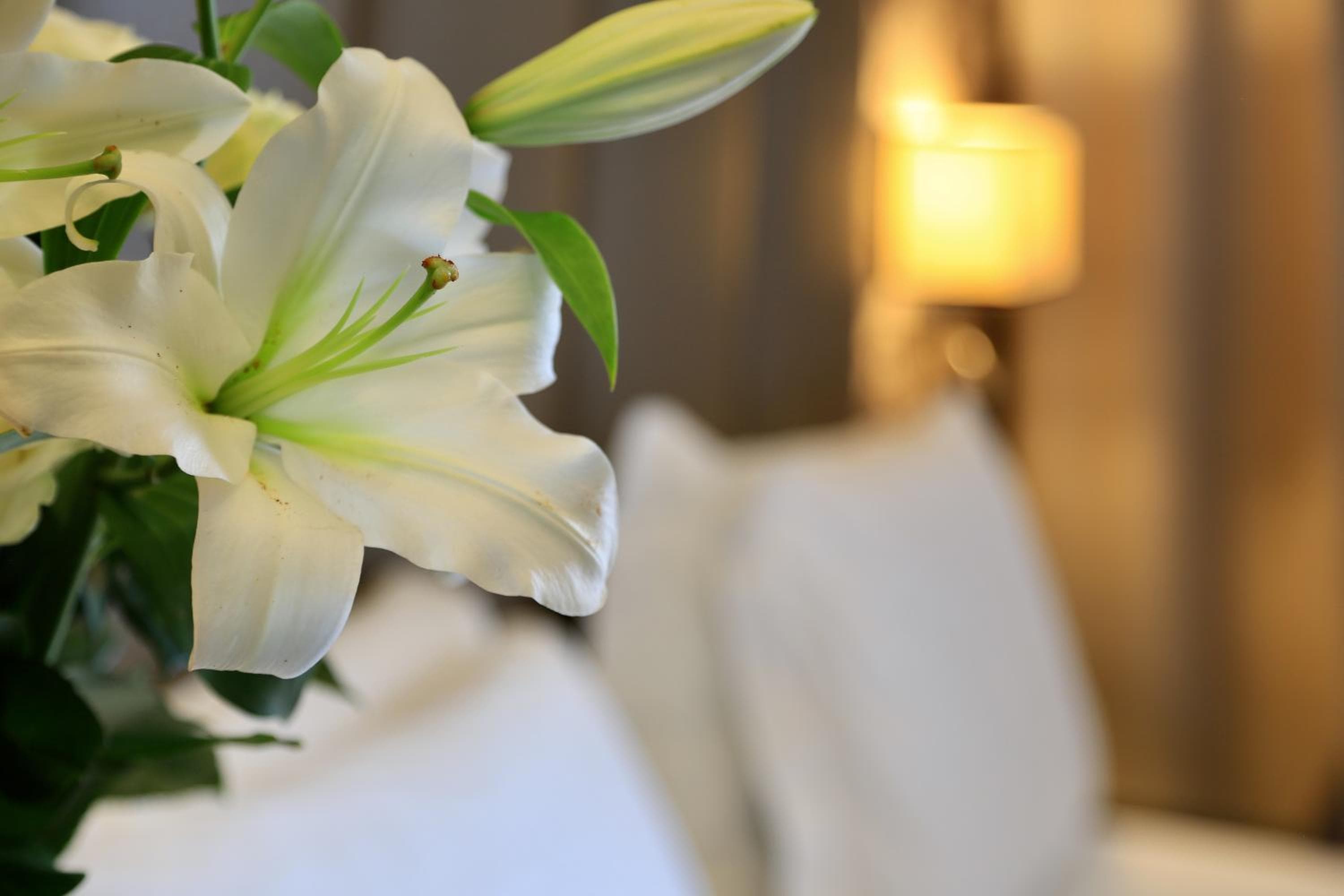Klima Hotel Milano Fiere — 5