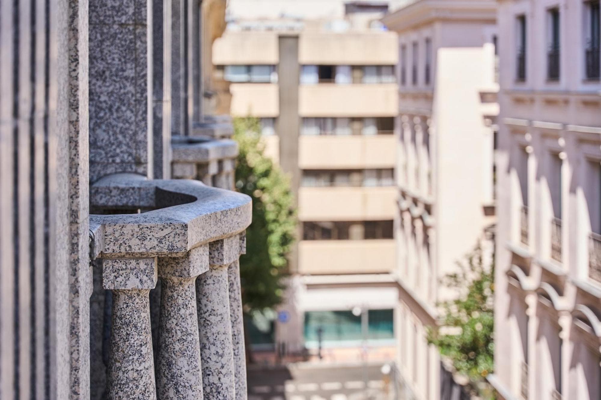 VP Jardín de Recoletos — 9
