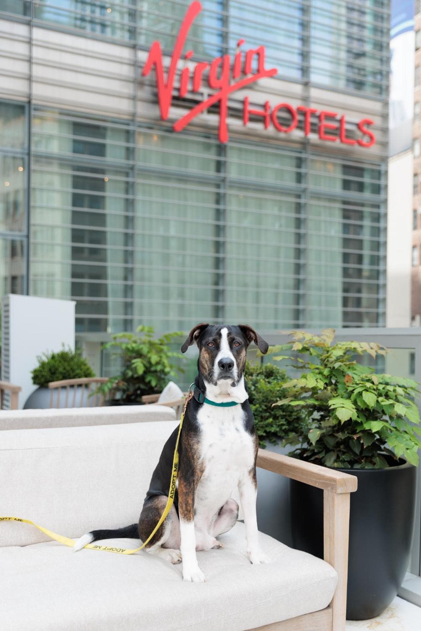 Virgin Hotels New York City — 24