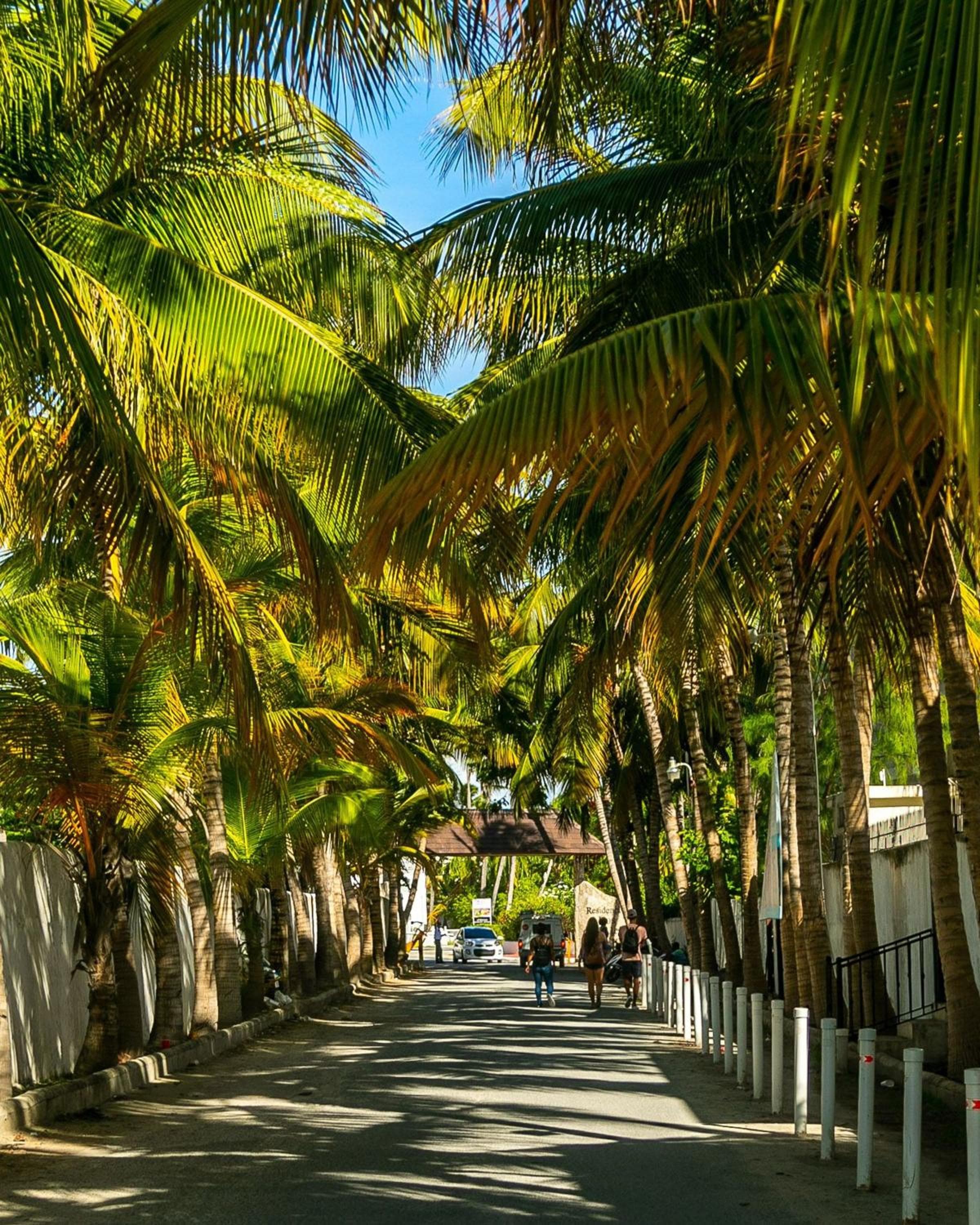 Playa Turquesa Beachfront Escape | 3BR | BBQ &Pool — 30