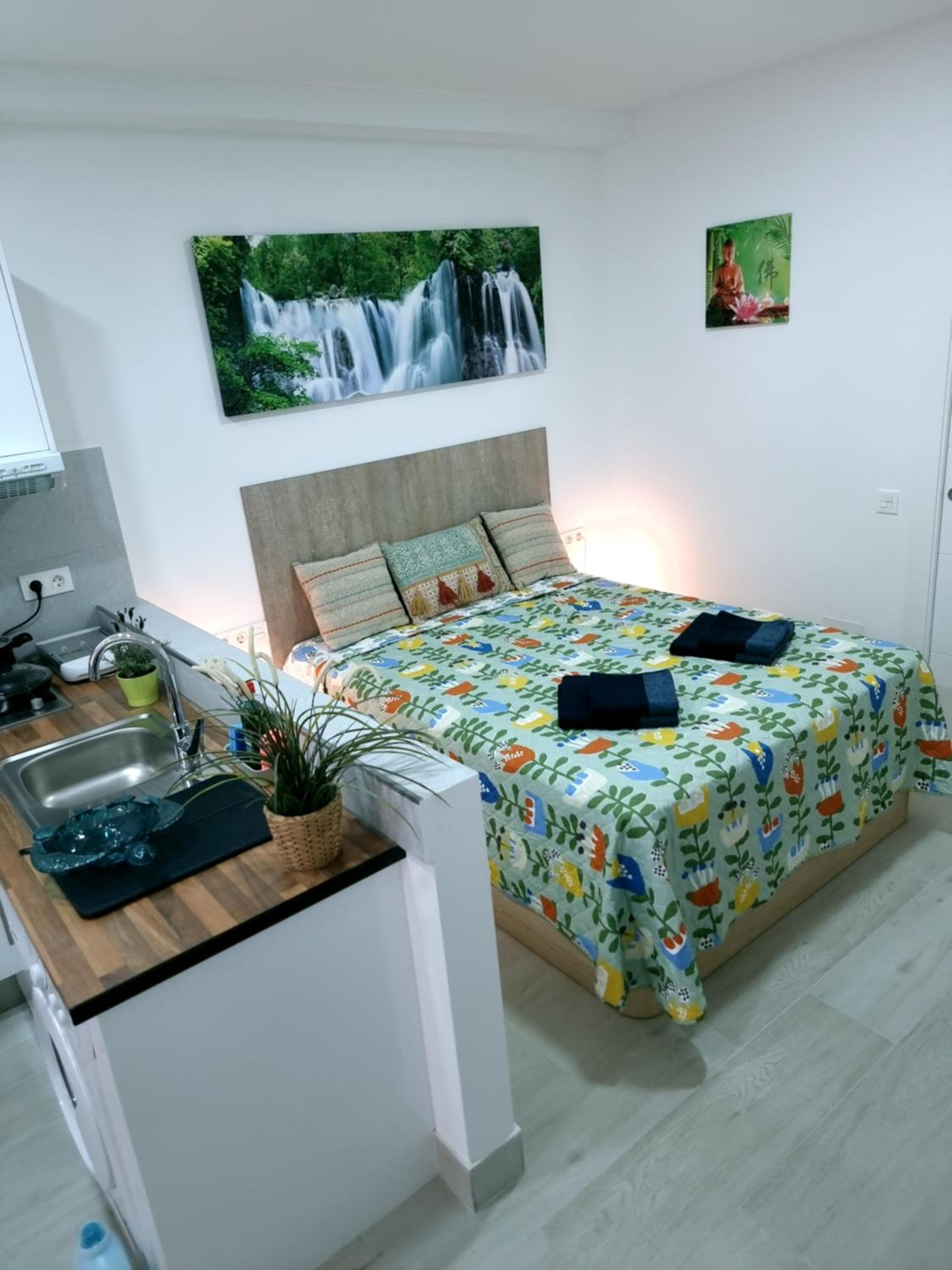 Apartamentos ZANCA CENTRO DE LA CIUDAD — 1