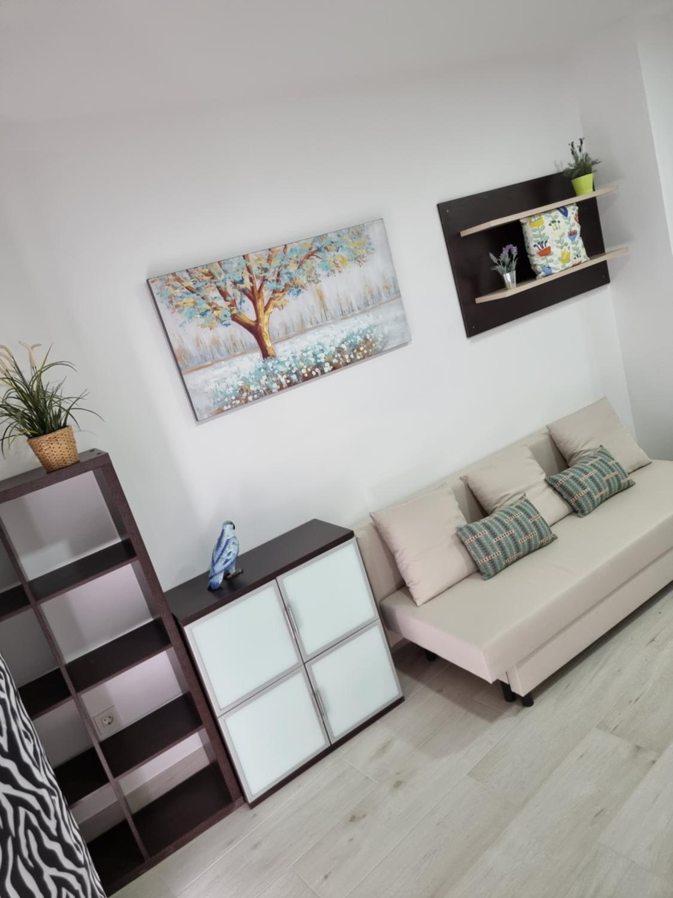 Apartamentos ZANCA CENTRO DE LA CIUDAD — 7