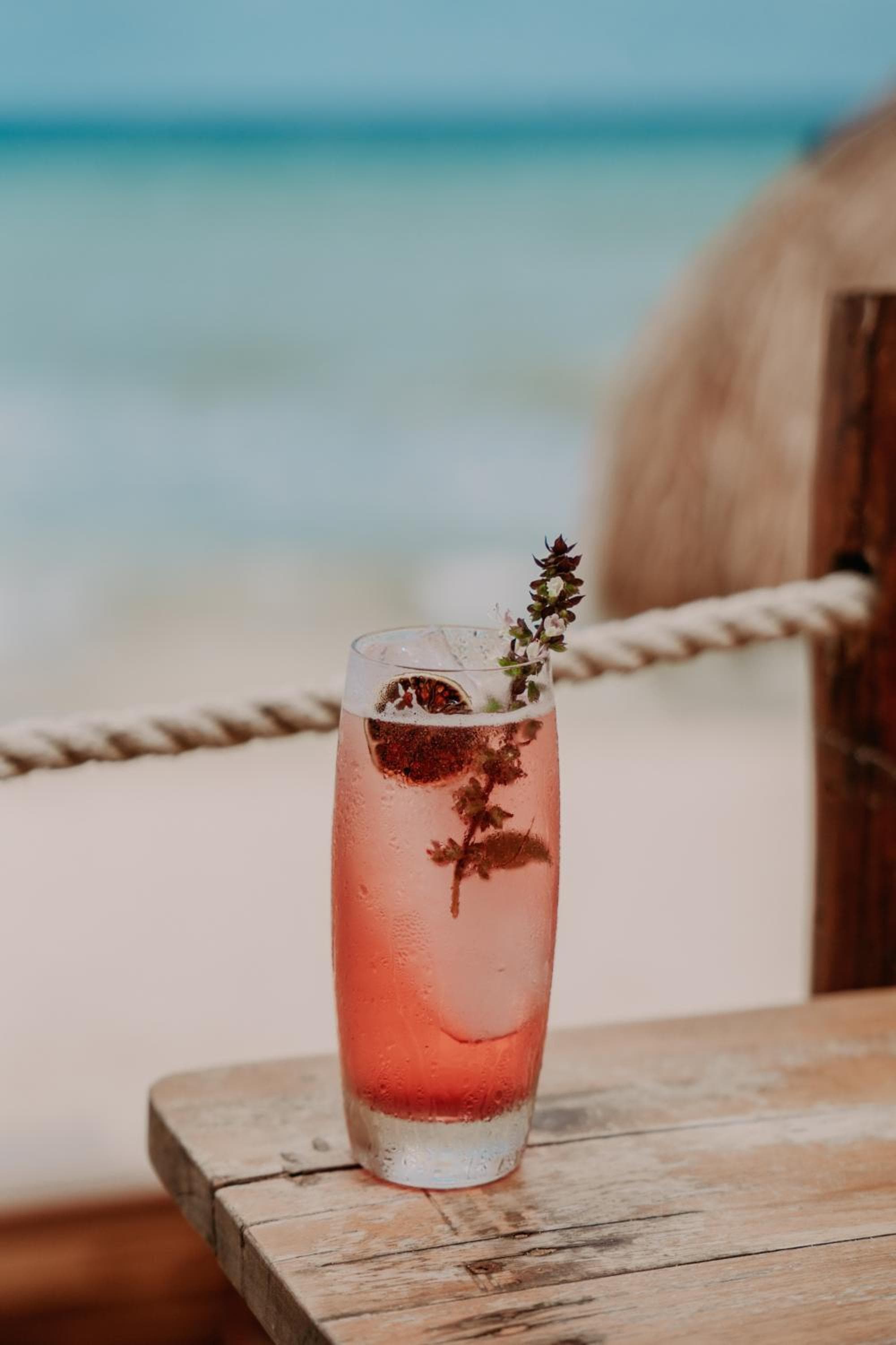 Petit Lafitte Beach Front Hotel & Bungalows — 27
