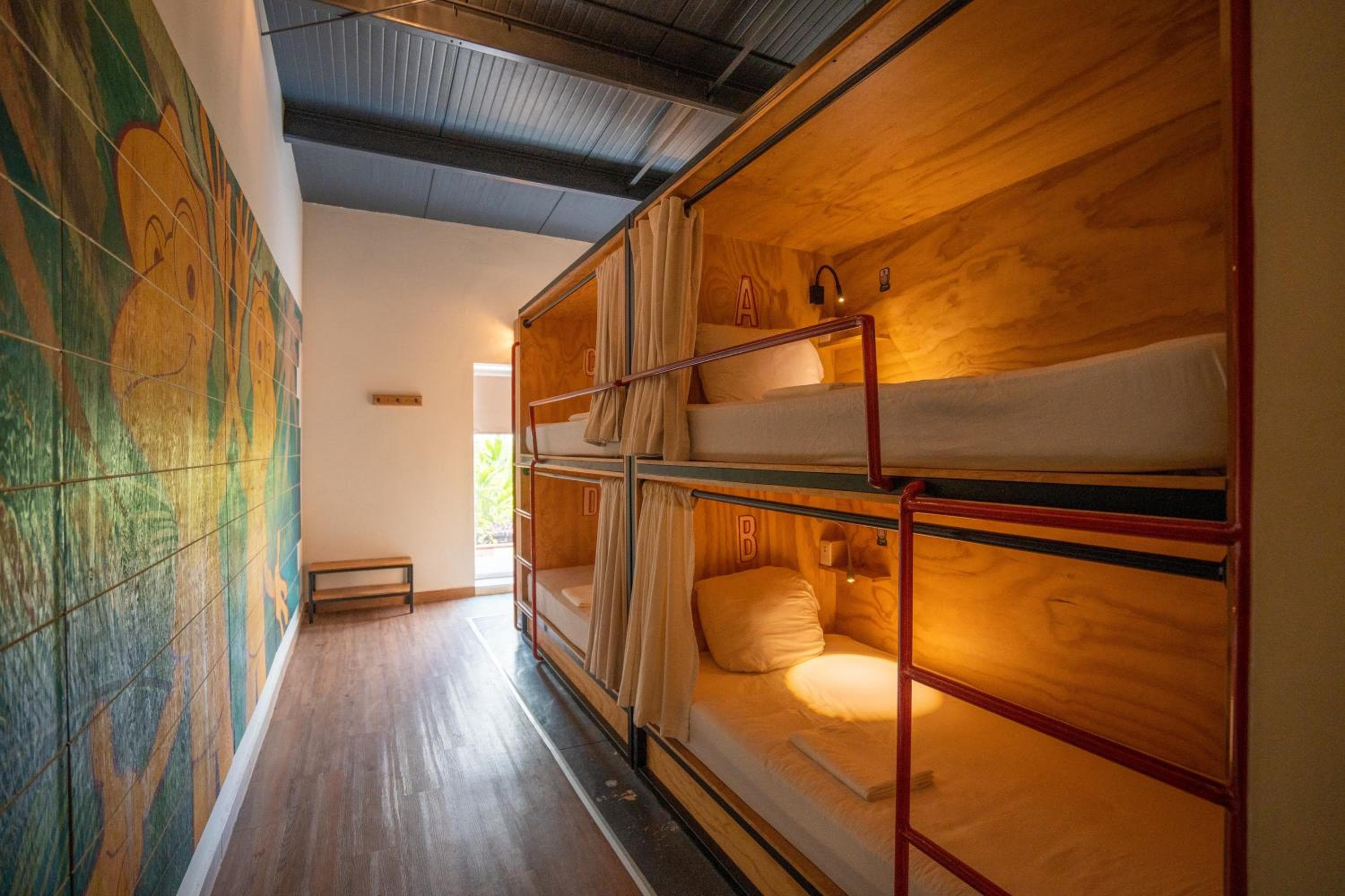 Mayan Monkey Cancun - Social Hostel — 13