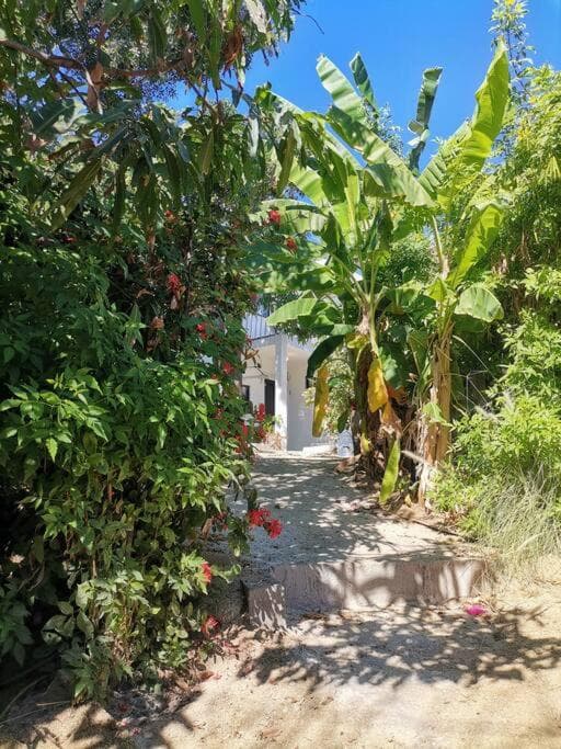Casa Costa Azul — 11
