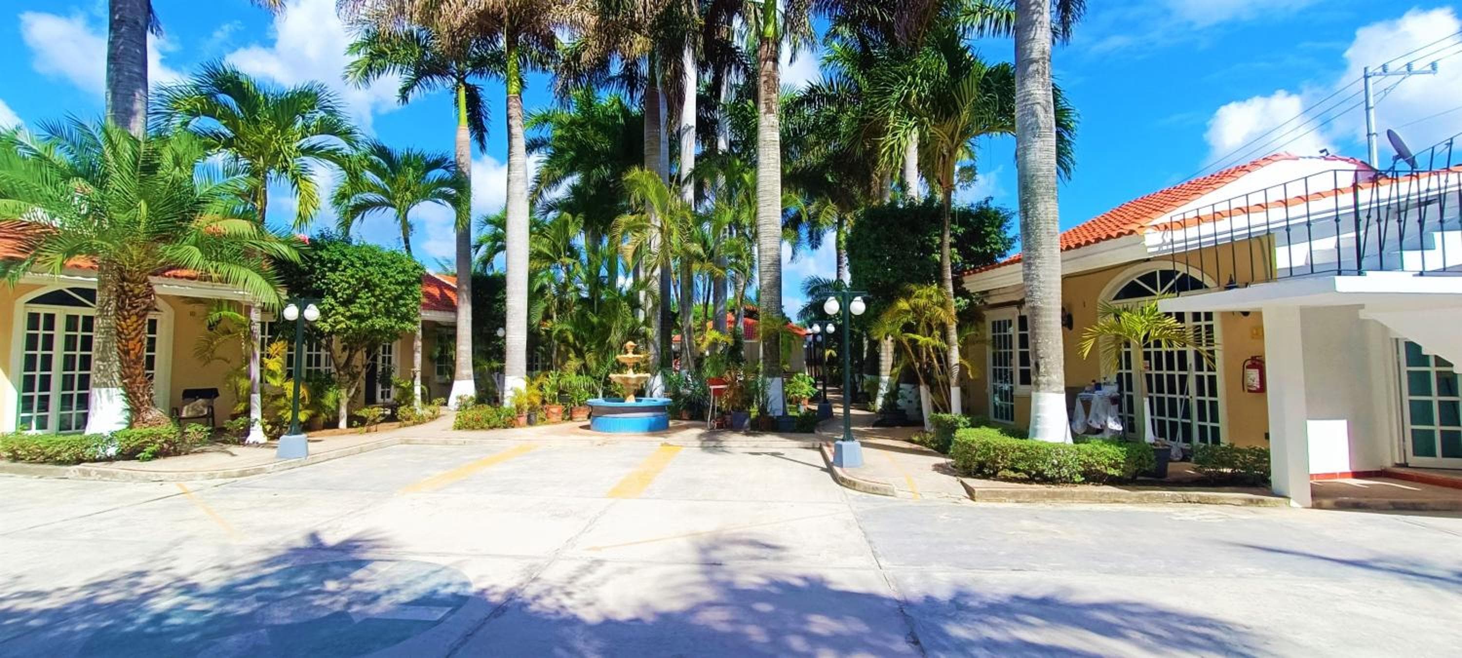 Tulipanes Cancun — 1
