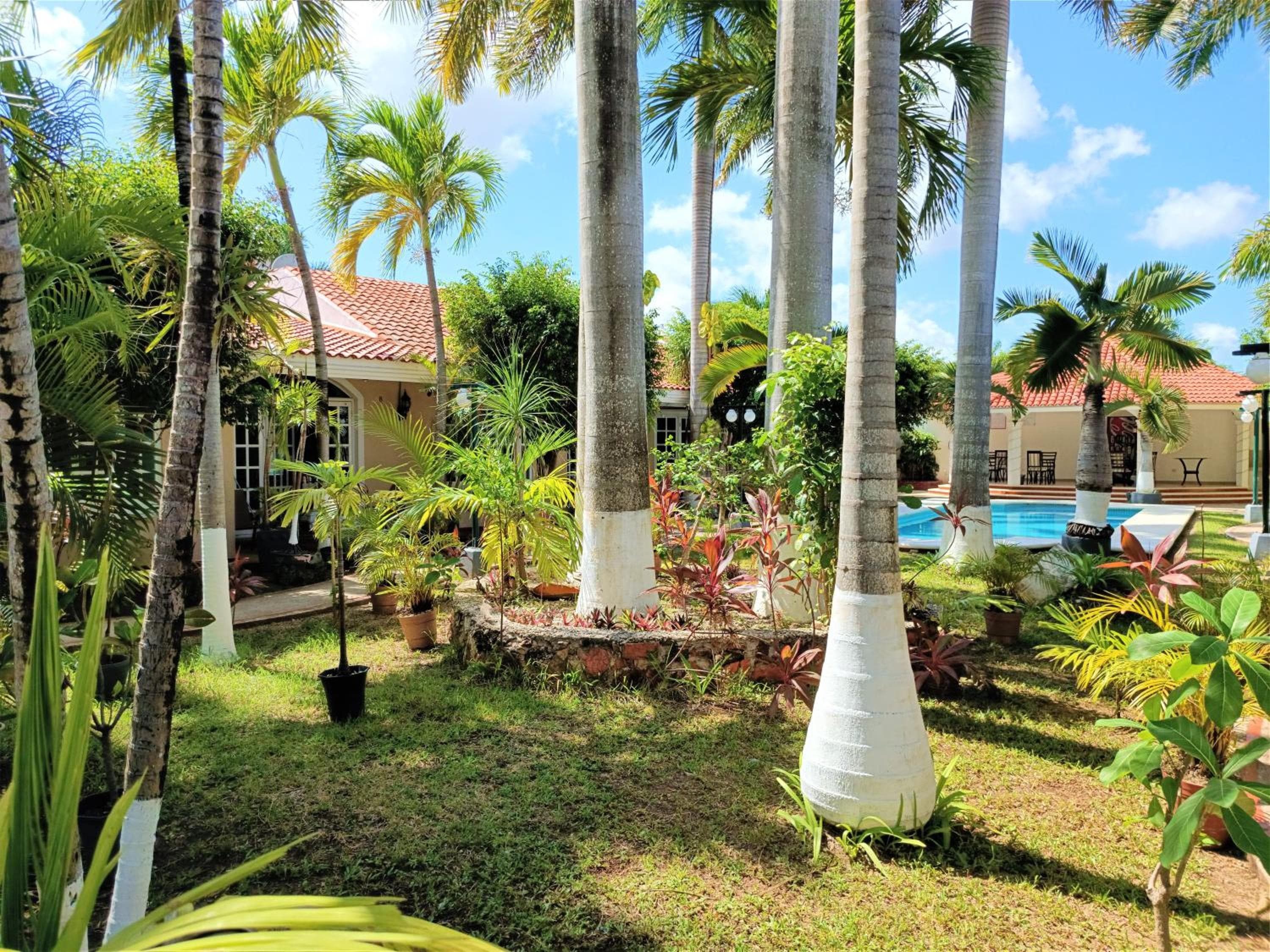 Tulipanes Cancun — 23