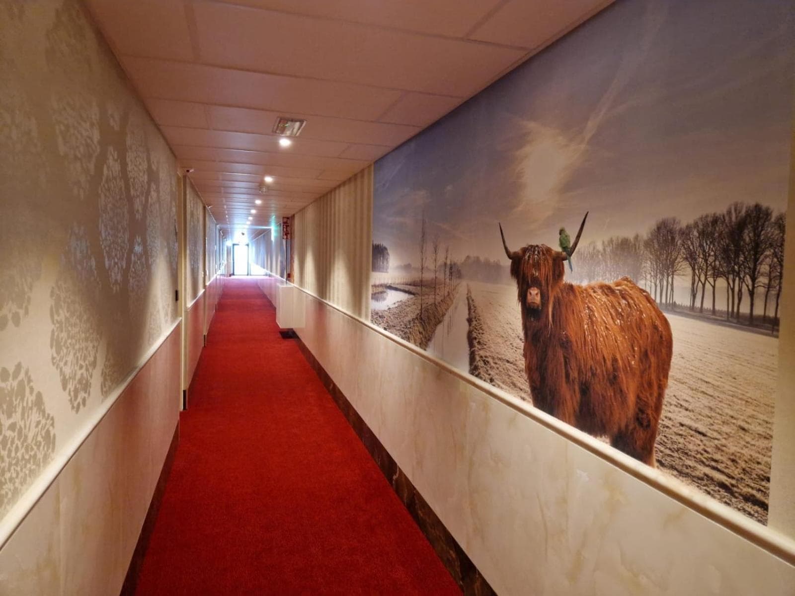 Chasse Residency Hotel — 29