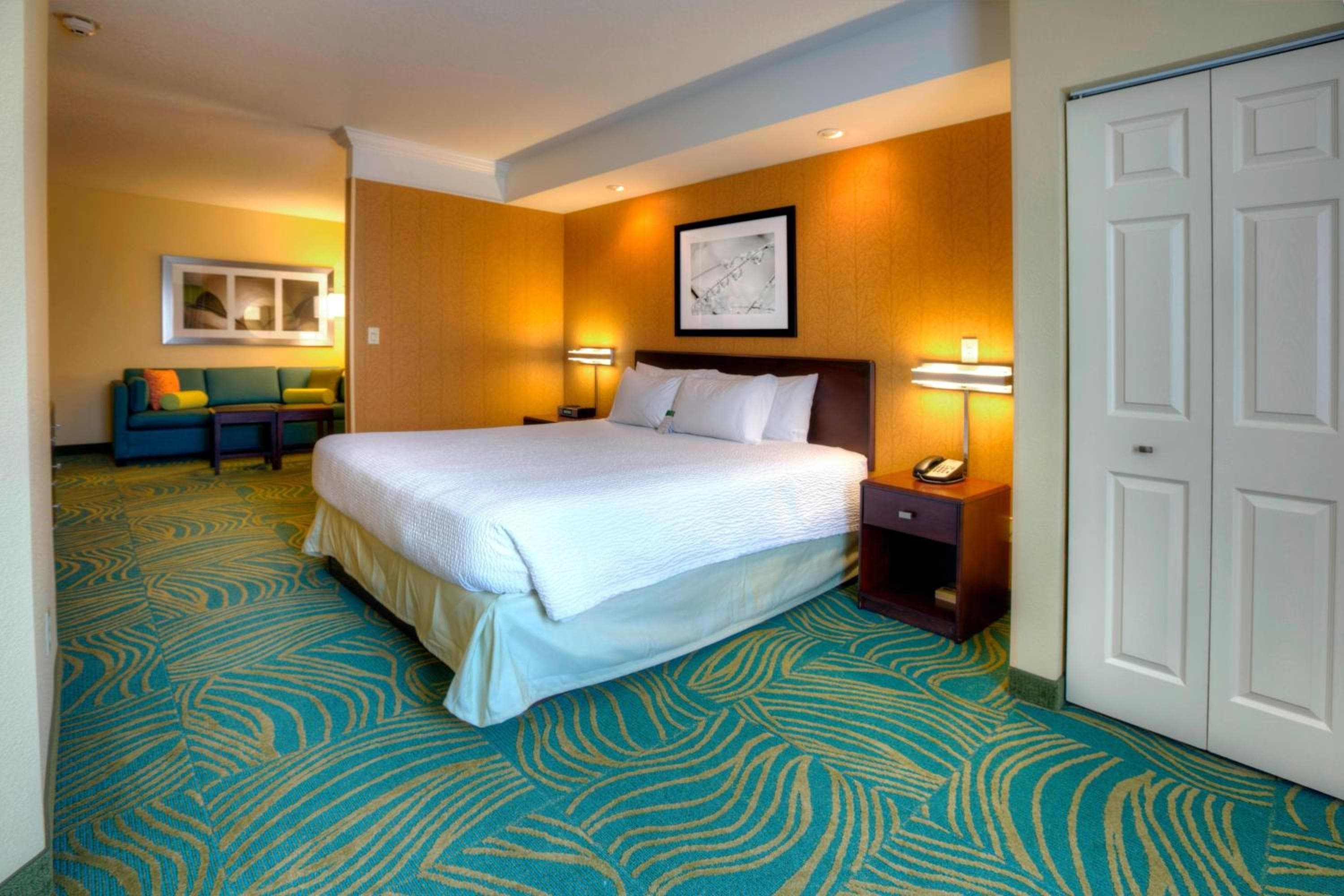 SpringHill Suites by Marriott - Tampa Brandon — 7