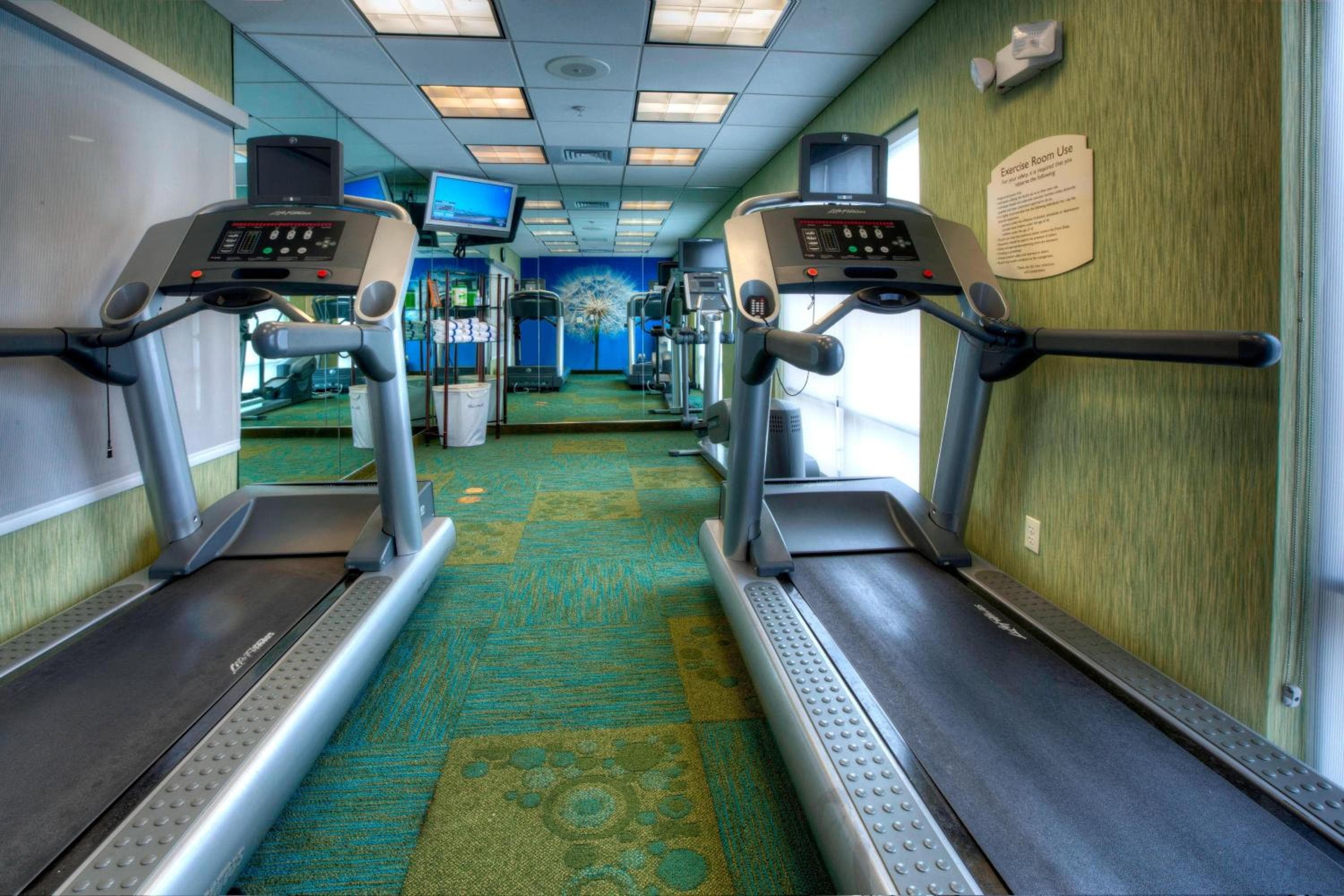 SpringHill Suites by Marriott - Tampa Brandon — 6