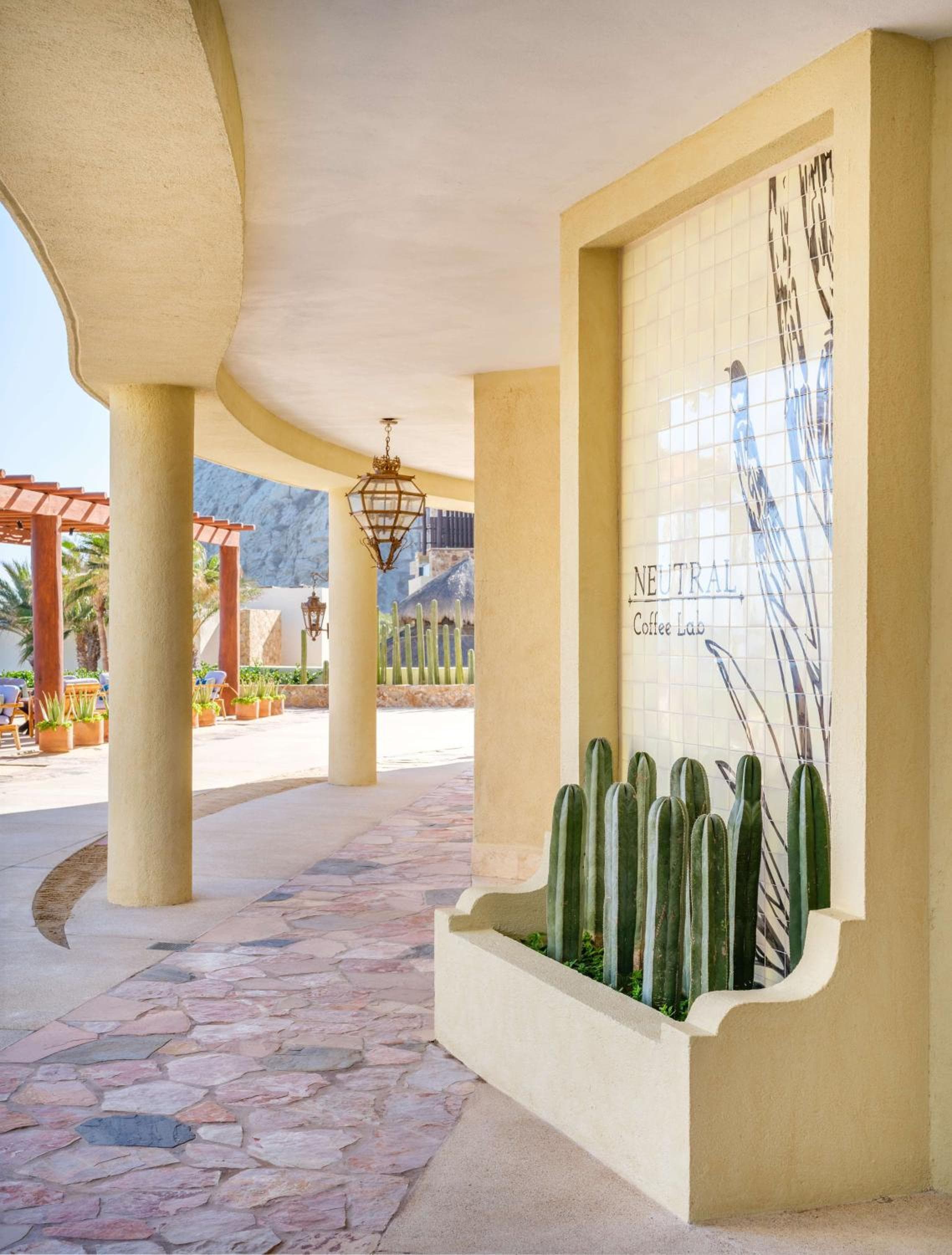 Waldorf Astoria Los Cabos Pedregal — 30
