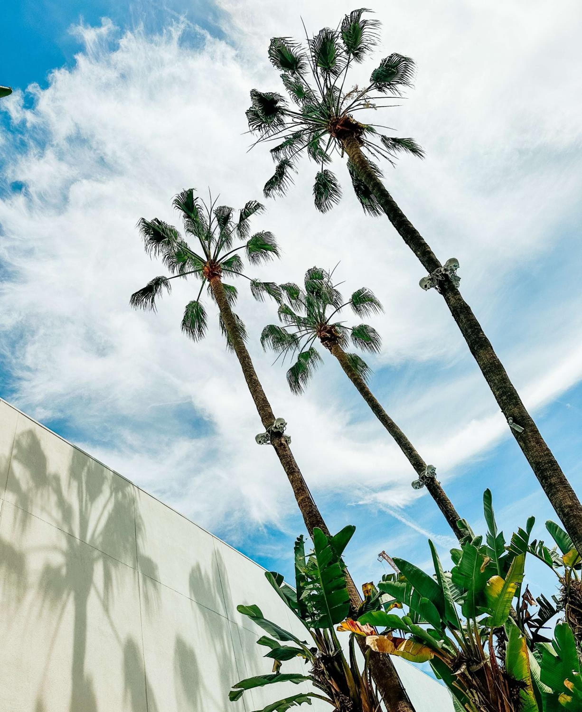 Il Beverly Hilton — 9
