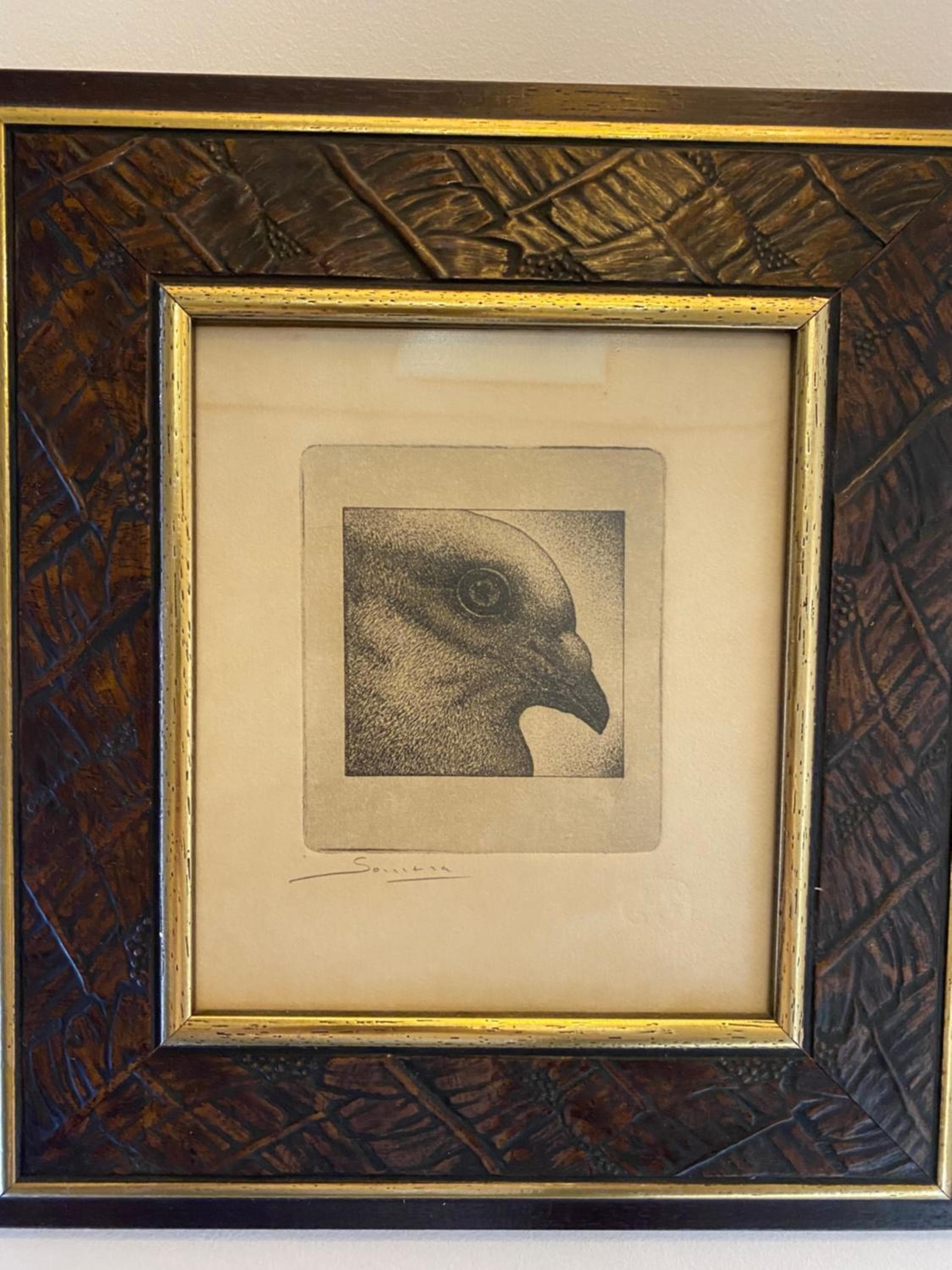 El nido del Chorro — 20