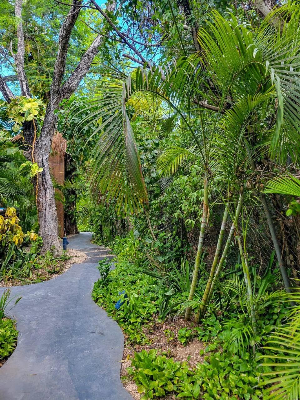 Maui Herbergen Tulum — 28