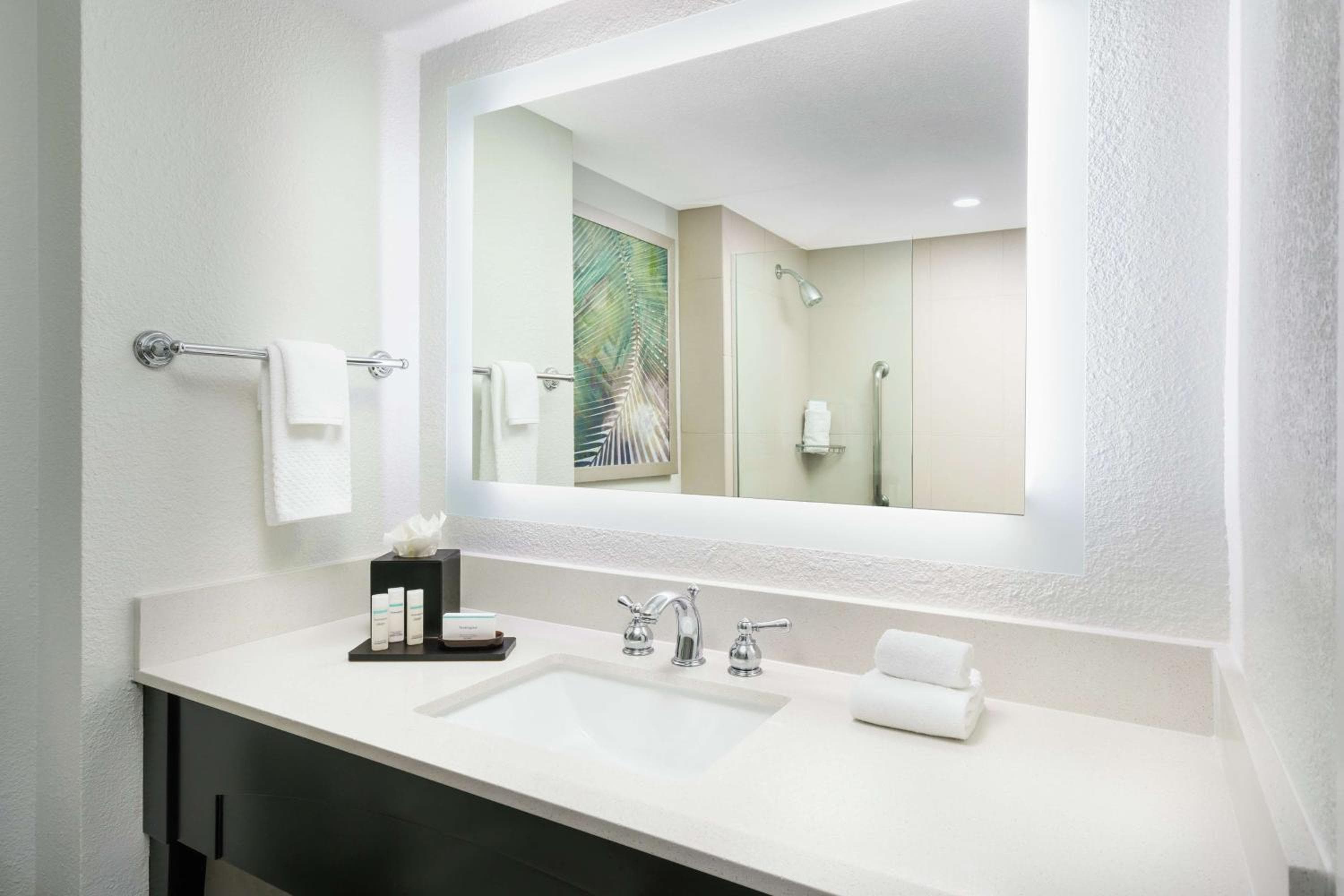 Embassy Suites by Hilton Orlando Lake Buena Vista Resort — 22