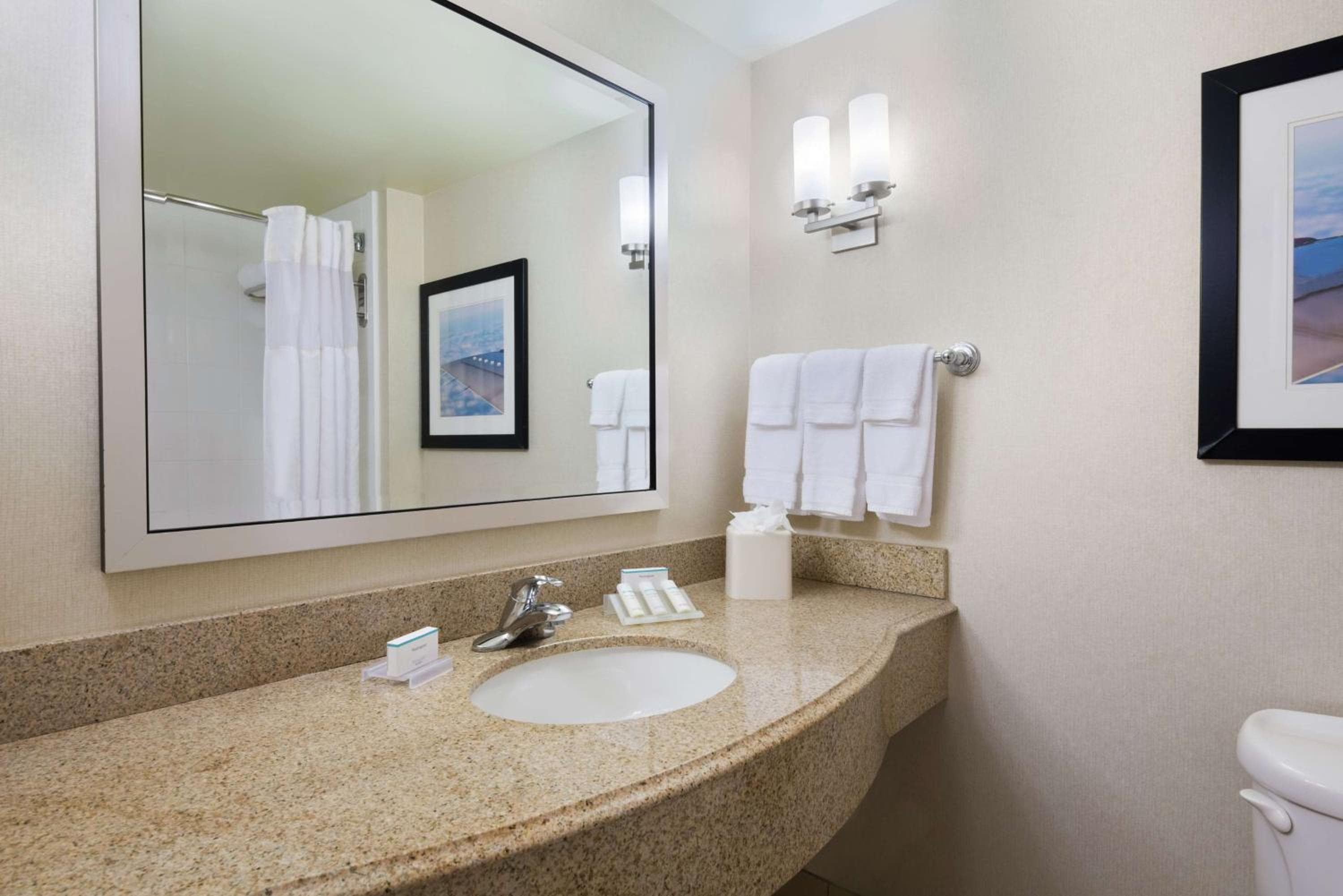 Hilton Garden Inn Tampa Airport/Westshore — 5